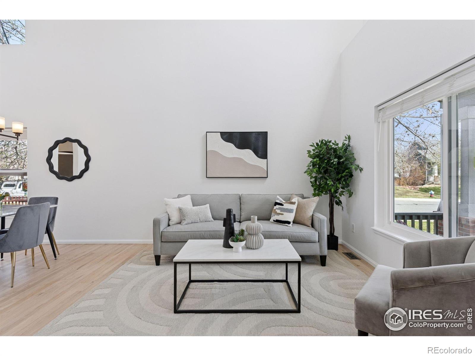 MLS Image #4 for 701  nelson park circle,longmont, Colorado