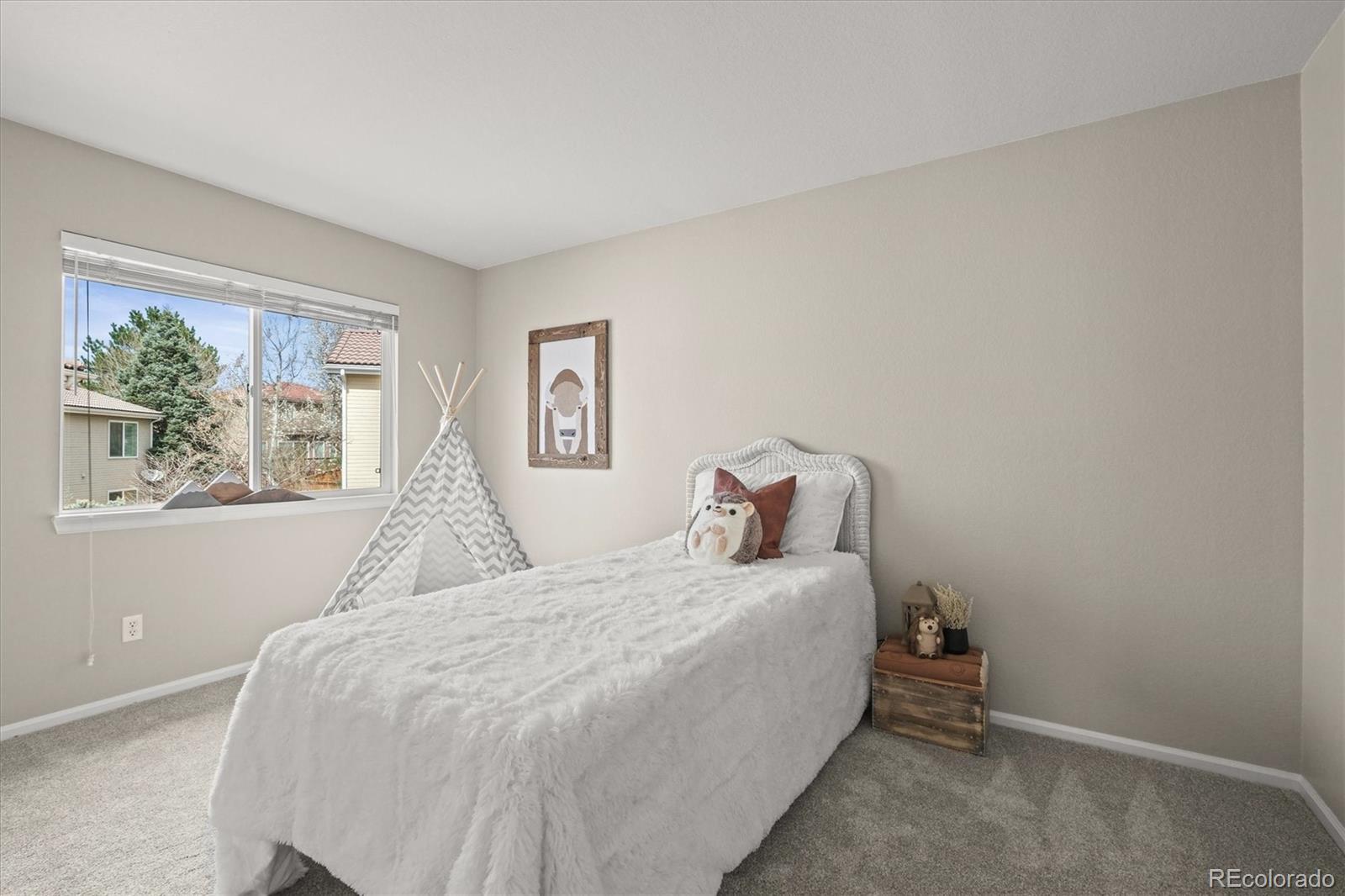 MLS Image #27 for 1343  braewood avenue,highlands ranch, Colorado