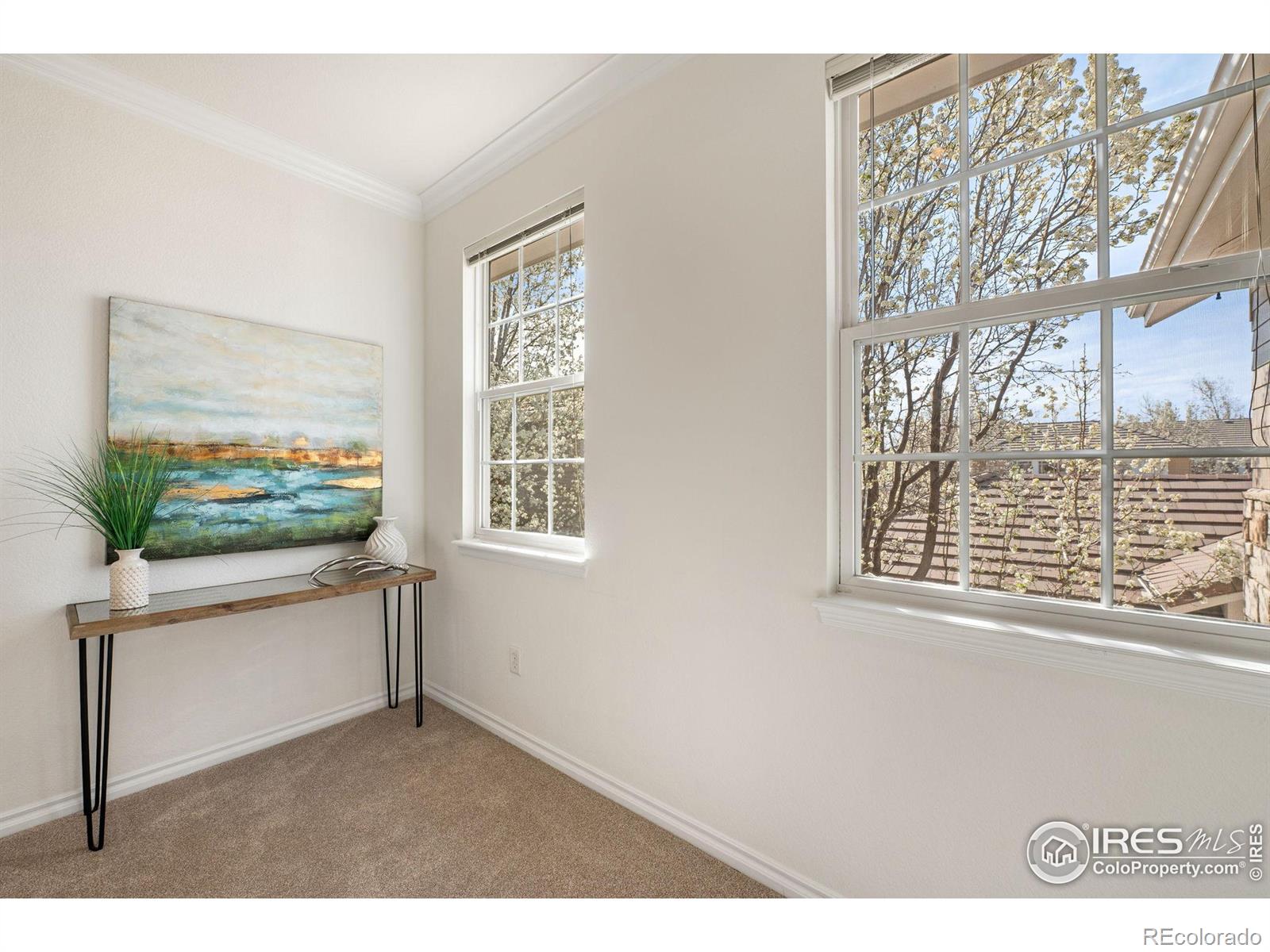MLS Image #5 for 3488  molly circle,broomfield, Colorado