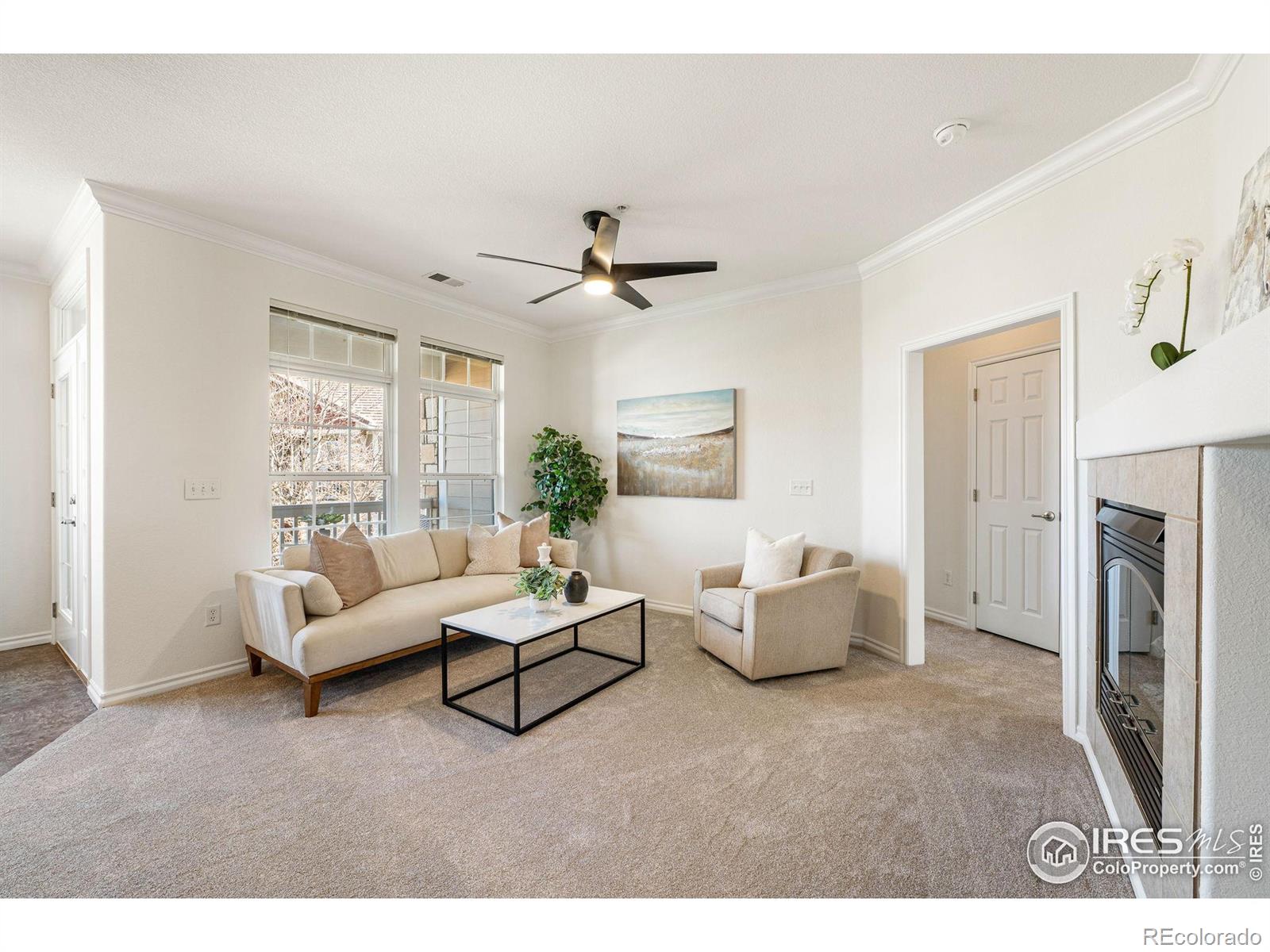 MLS Image #6 for 3488  molly circle,broomfield, Colorado