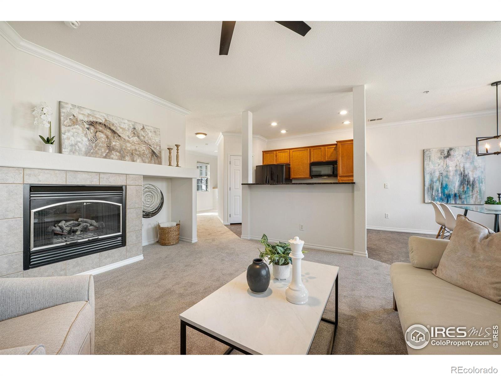 MLS Image #7 for 3488  molly circle,broomfield, Colorado