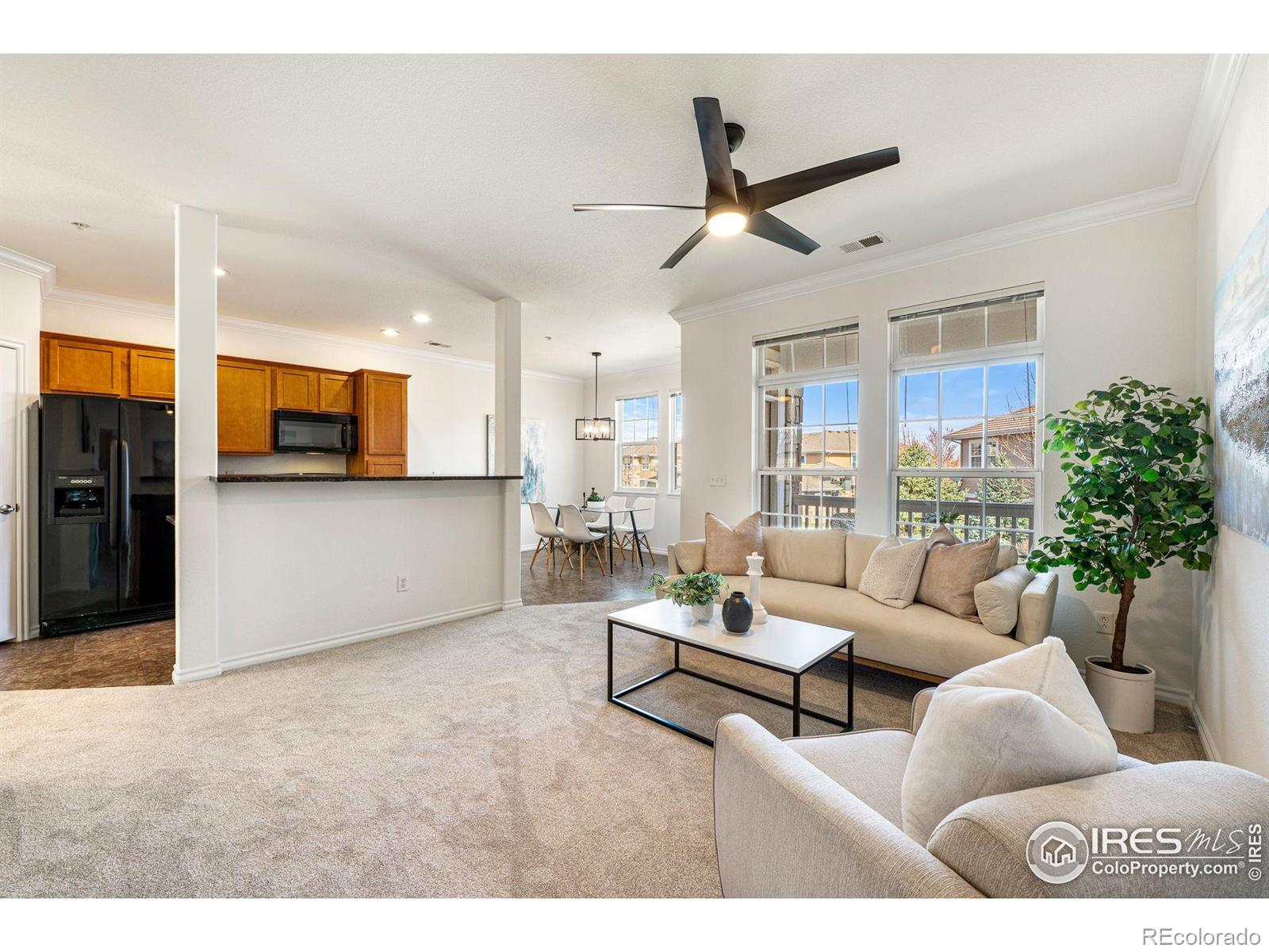MLS Image #8 for 3488  molly circle,broomfield, Colorado