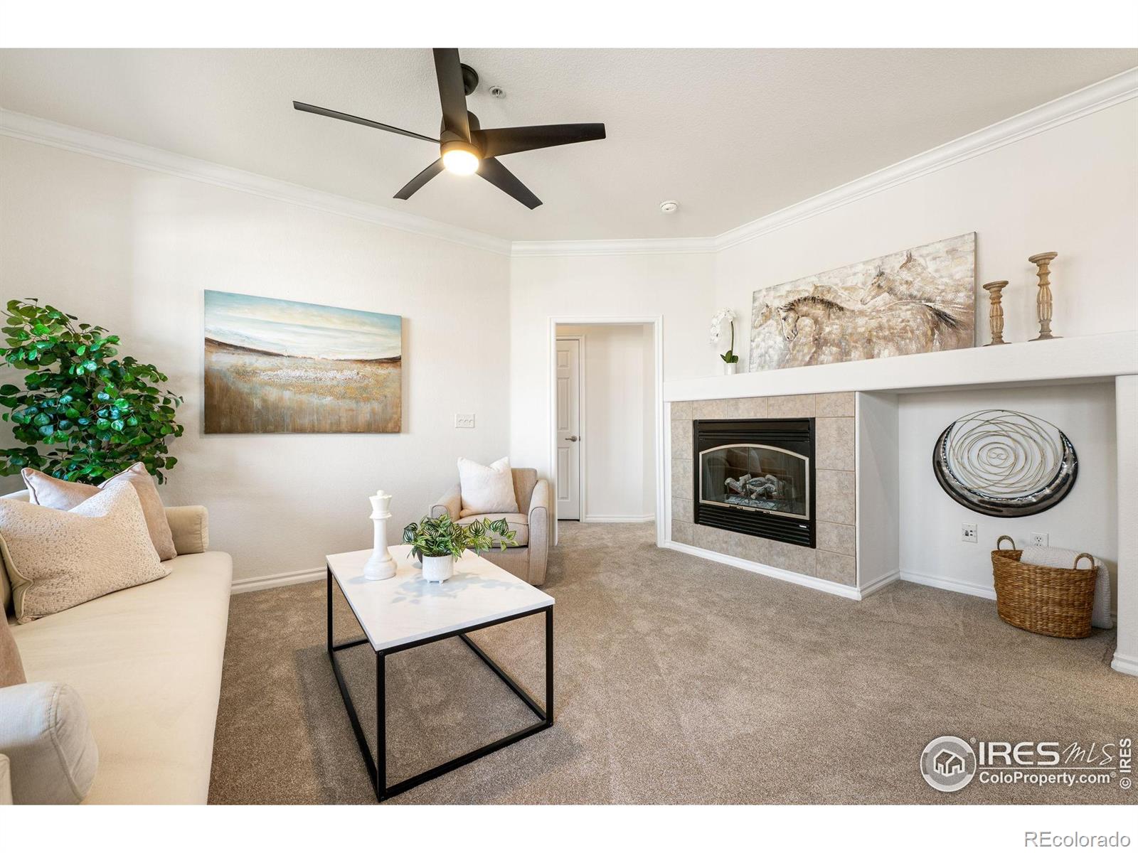 MLS Image #9 for 3488  molly circle,broomfield, Colorado