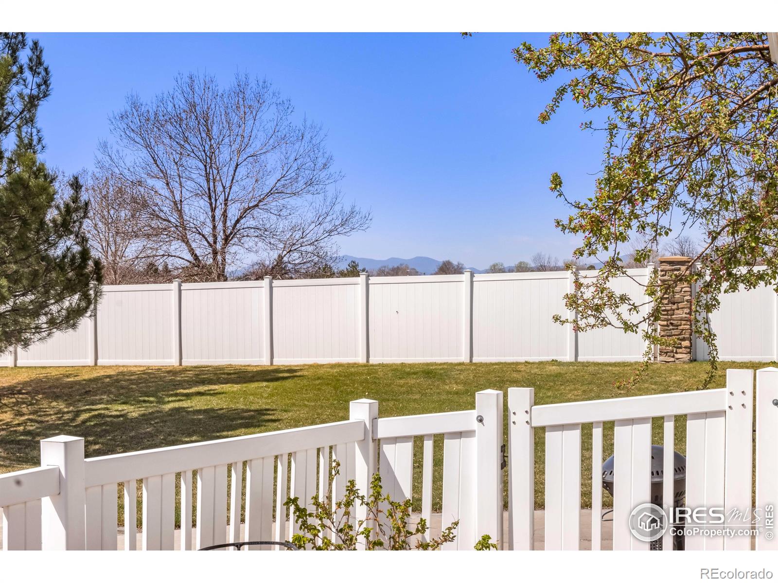 MLS Image #24 for 11737  zenobia loop,westminster, Colorado