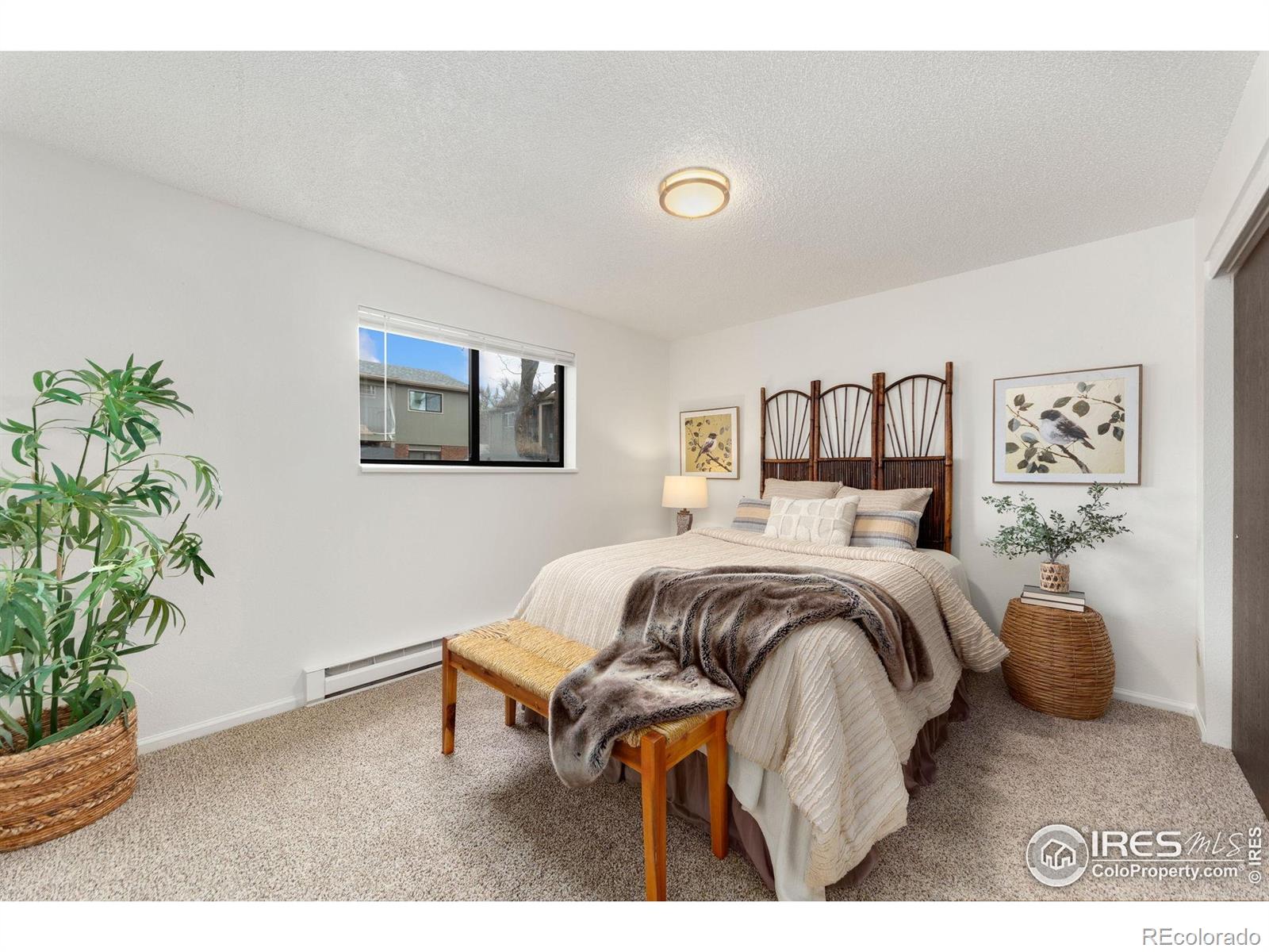 MLS Image #13 for 419 s impala drive,fort collins, Colorado
