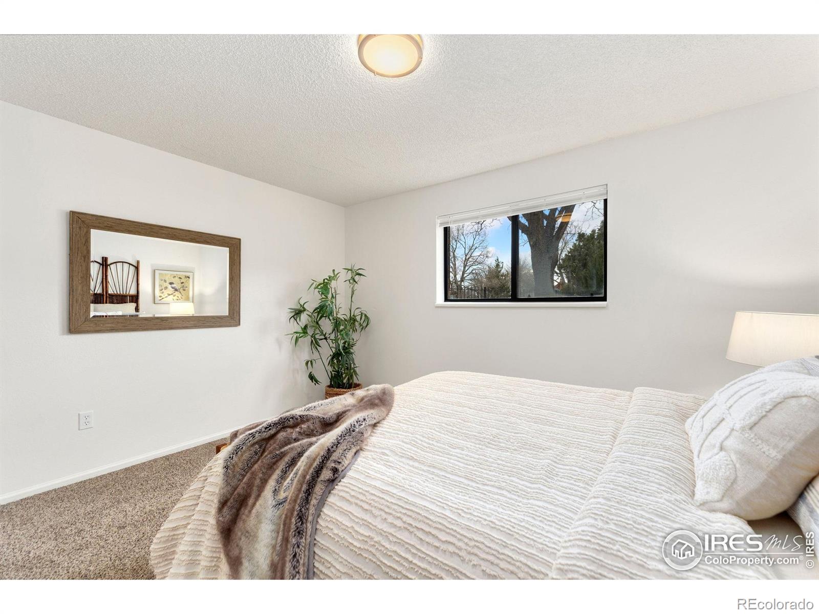 MLS Image #15 for 419 s impala drive,fort collins, Colorado