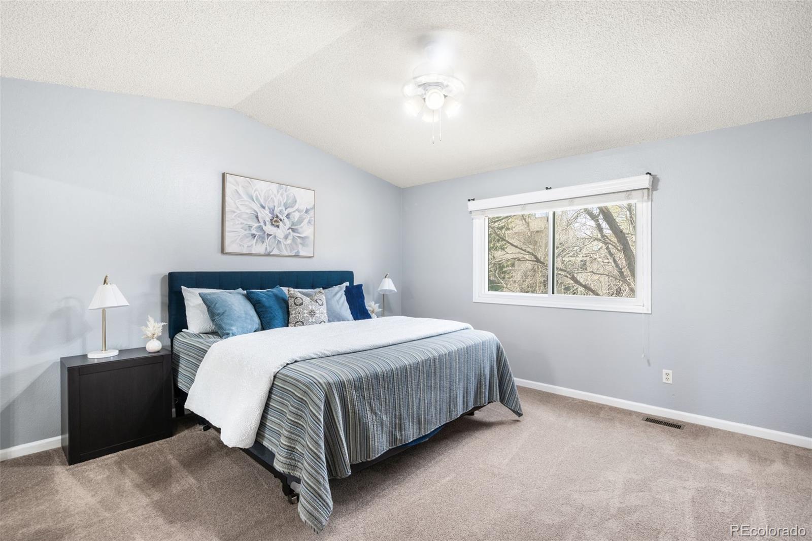 MLS Image #15 for 20748 e ida circle,centennial, Colorado