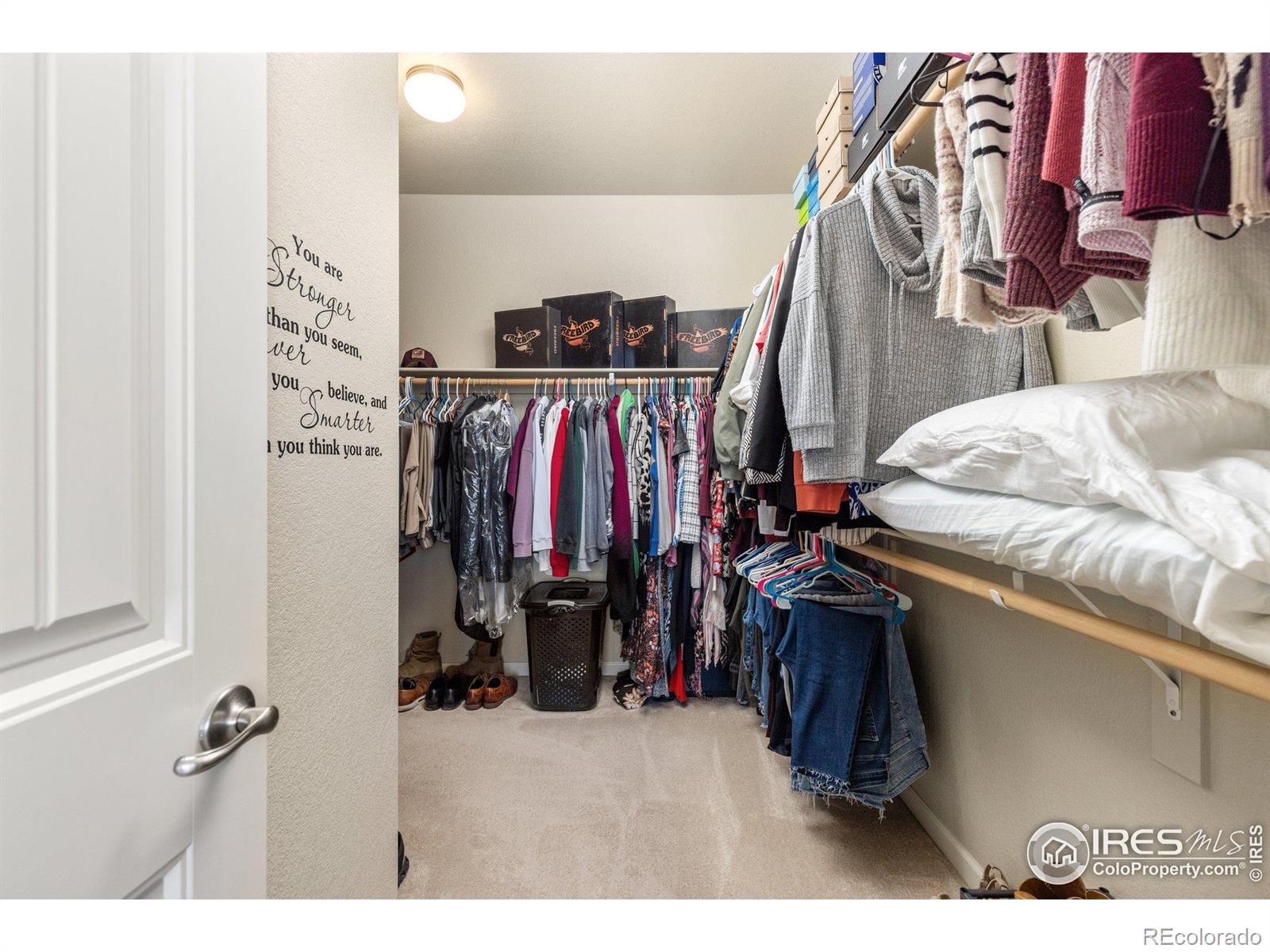 MLS Image #24 for 878  wagon bend road,berthoud, Colorado