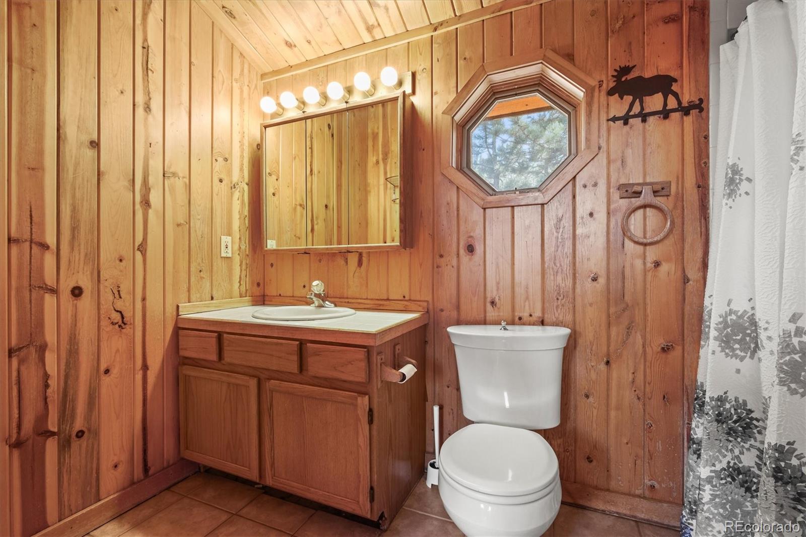 MLS Image #13 for 2956  nova road,pine, Colorado