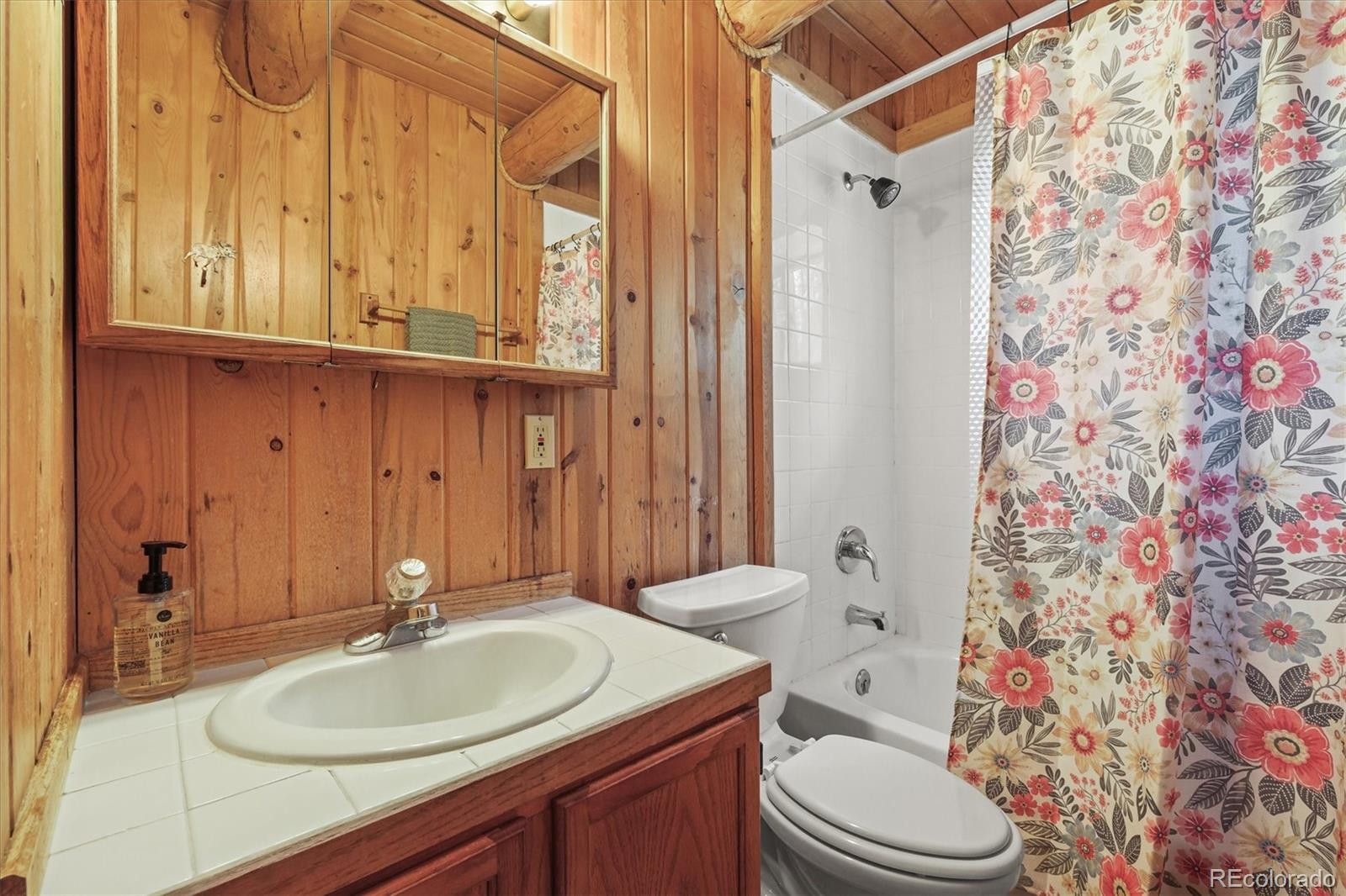 MLS Image #15 for 2956  nova road,pine, Colorado