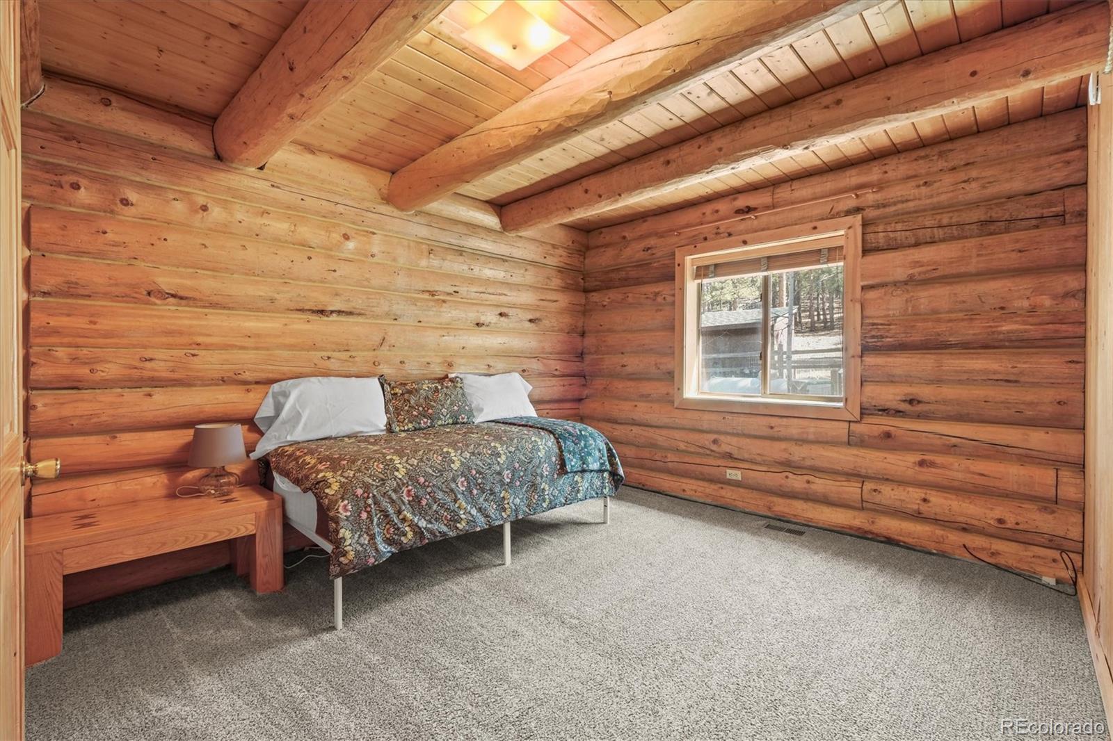 MLS Image #18 for 2956  nova road,pine, Colorado