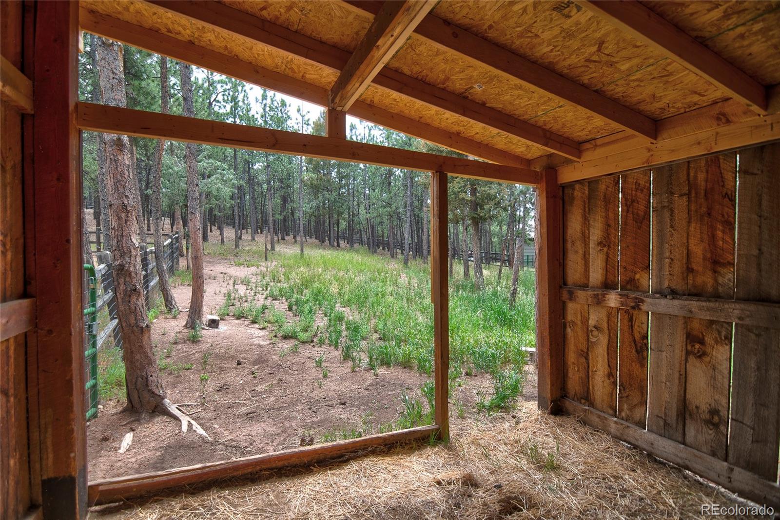 MLS Image #28 for 2956  nova road,pine, Colorado