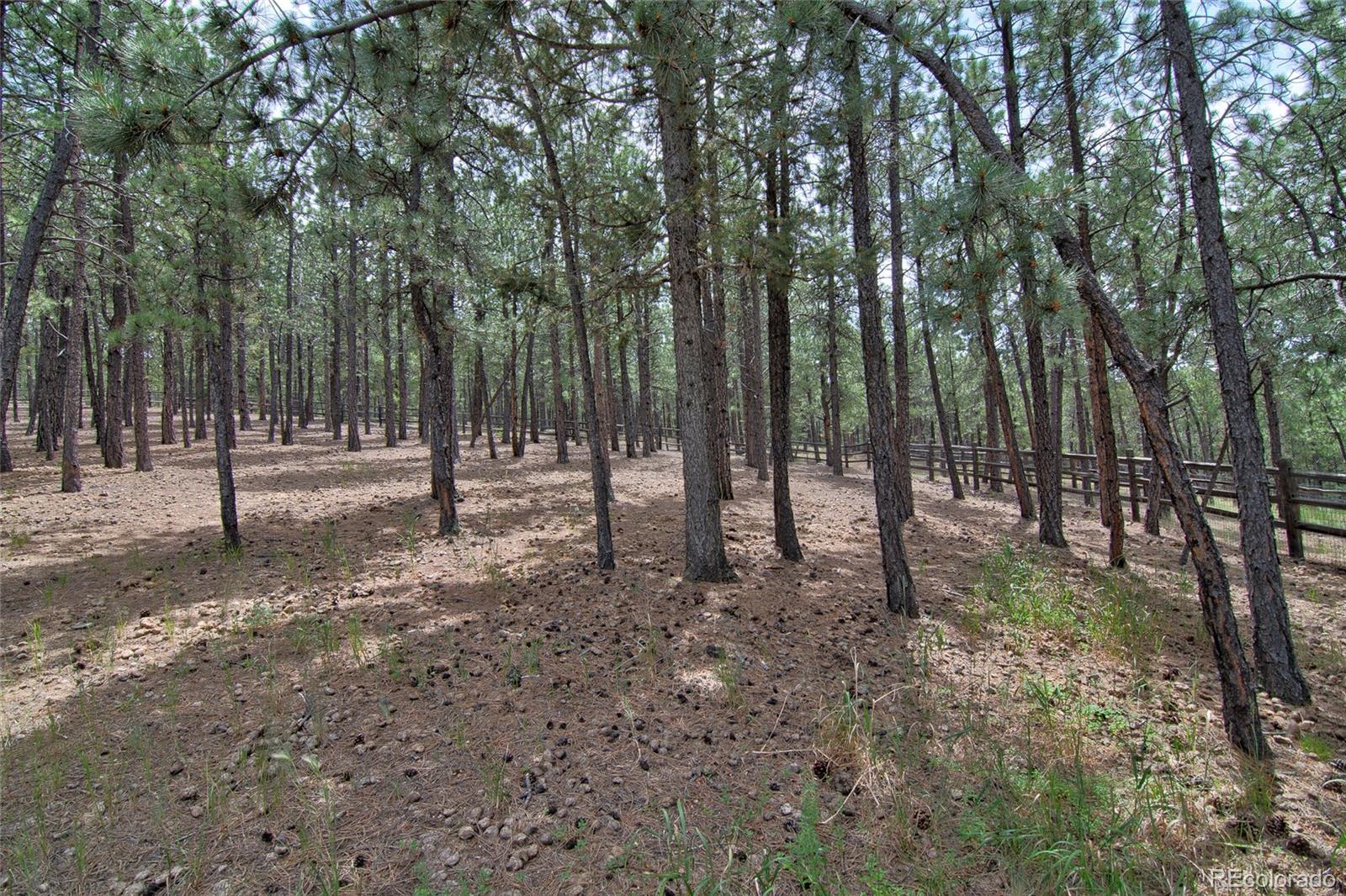 MLS Image #35 for 2956  nova road,pine, Colorado
