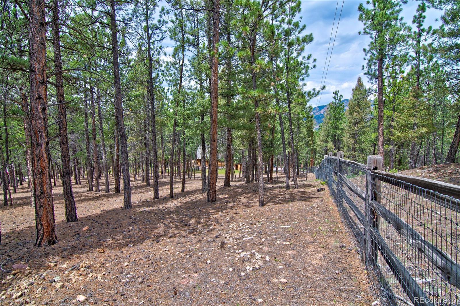MLS Image #36 for 2956  nova road,pine, Colorado