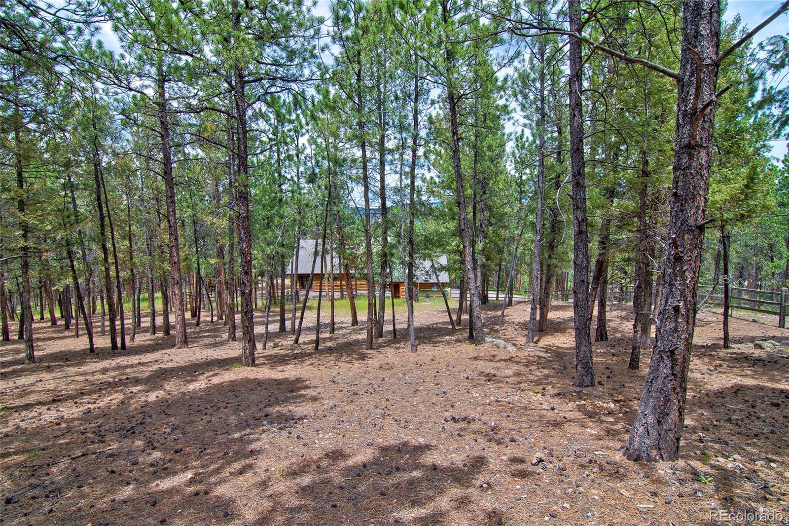 MLS Image #37 for 2956  nova road,pine, Colorado