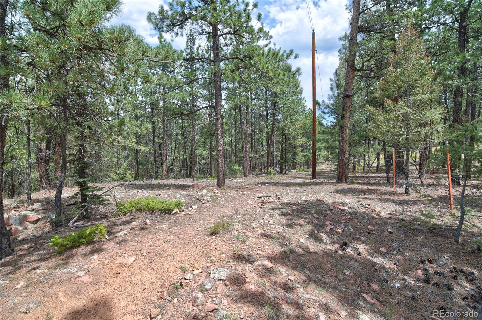 MLS Image #38 for 2956  nova road,pine, Colorado