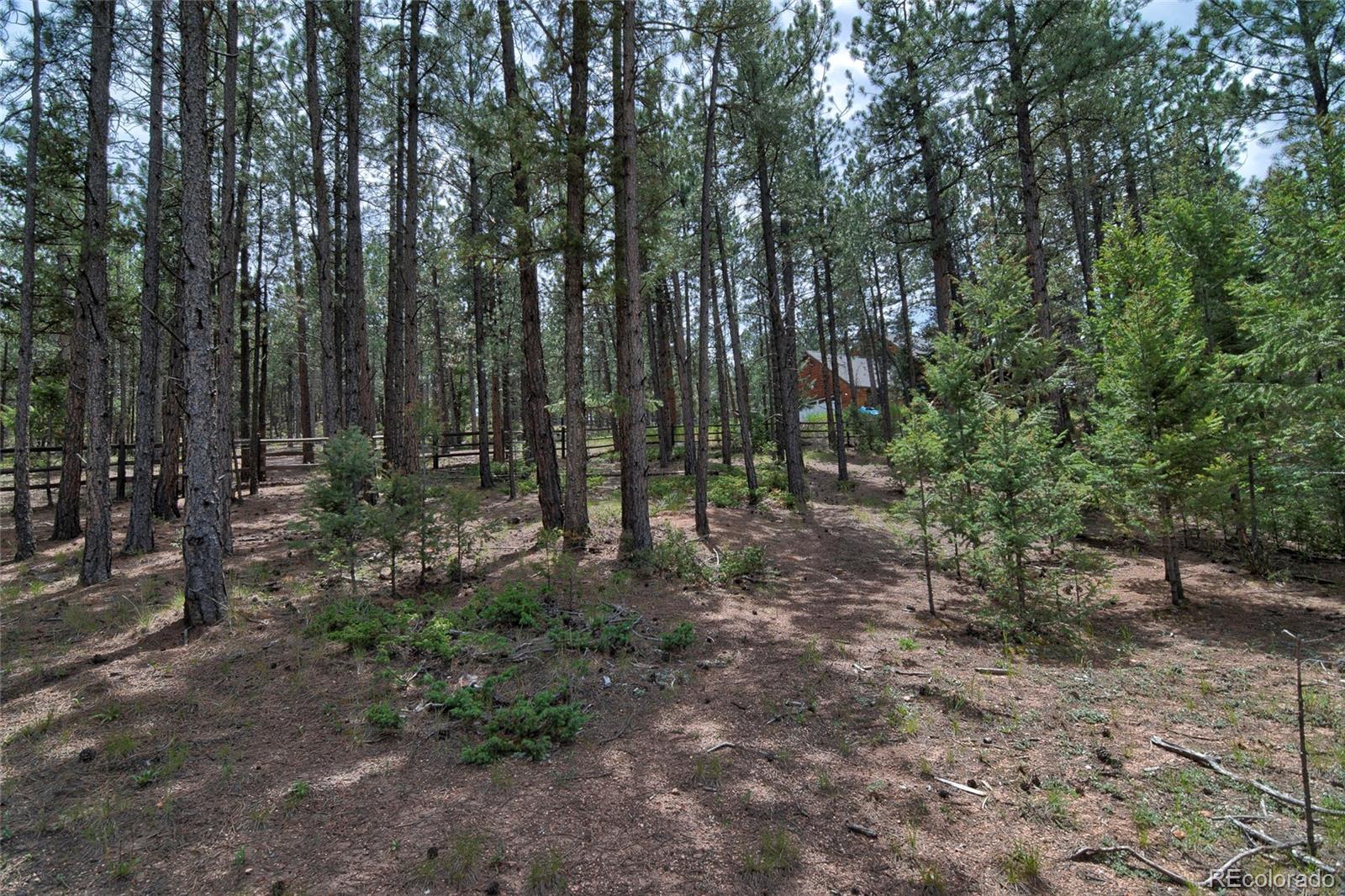 MLS Image #39 for 2956  nova road,pine, Colorado