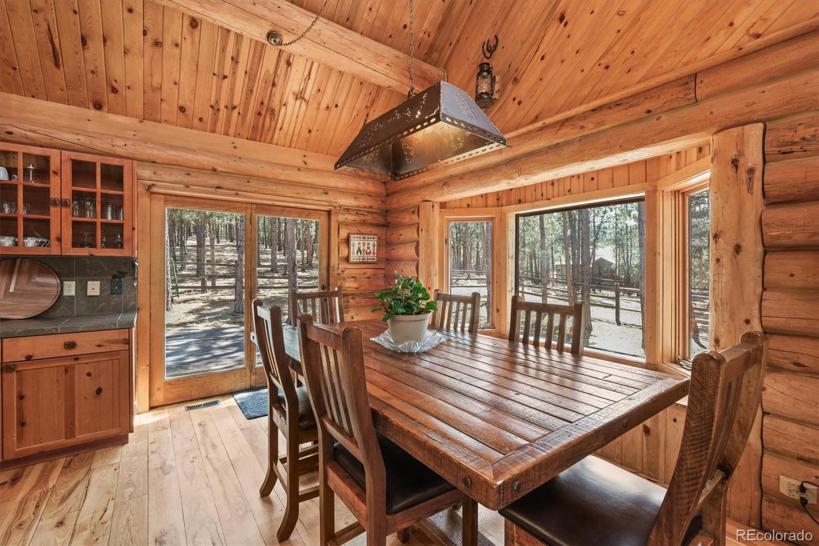 MLS Image #5 for 2956  nova road,pine, Colorado