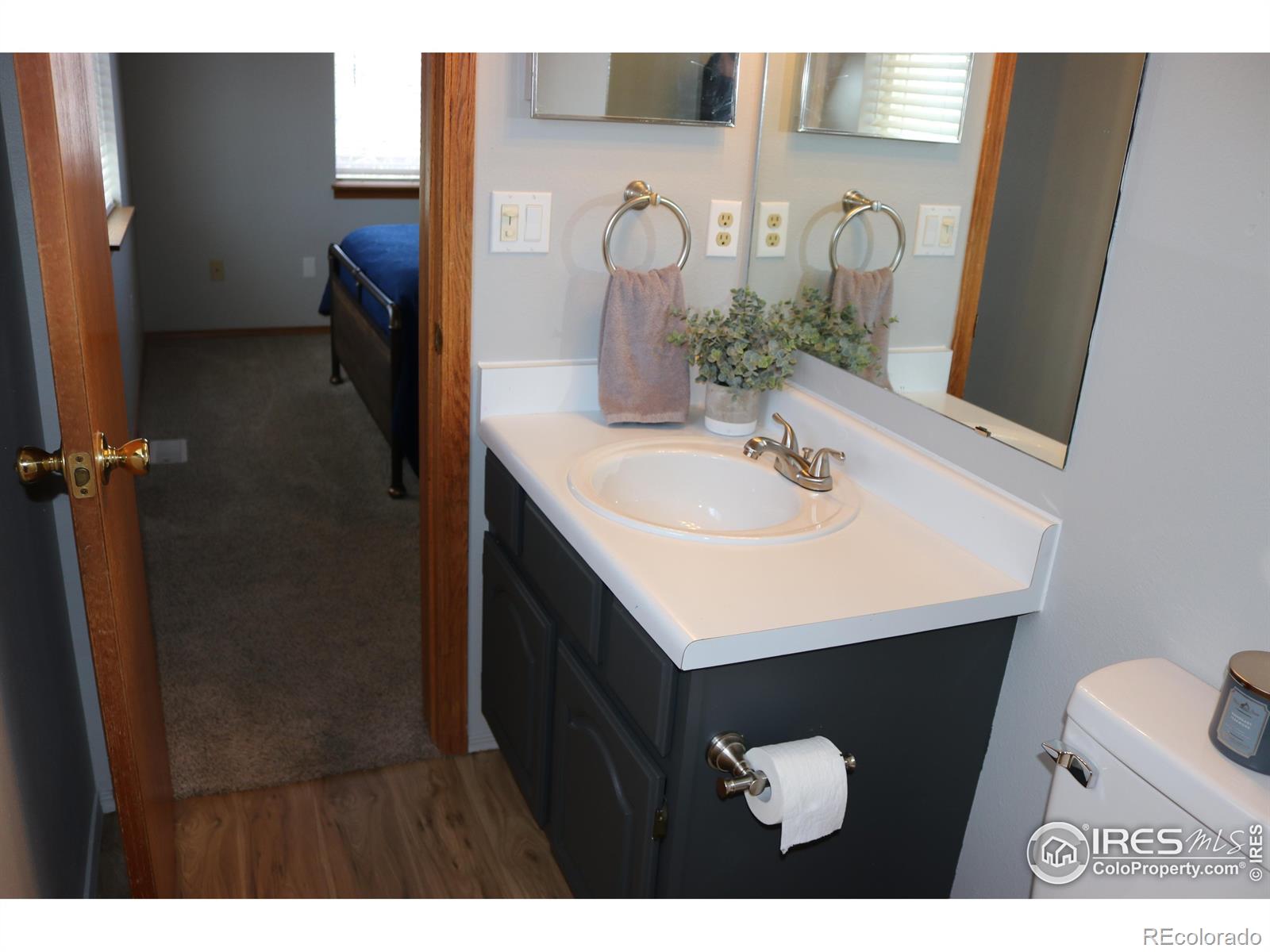 MLS Image #12 for 772  lilac drive,windsor, Colorado