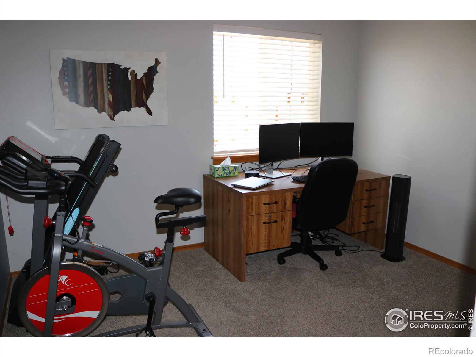 MLS Image #13 for 772  lilac drive,windsor, Colorado