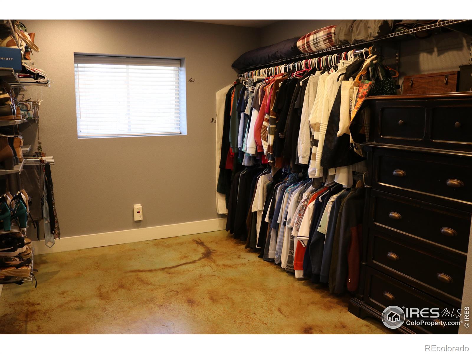 MLS Image #18 for 772  lilac drive,windsor, Colorado