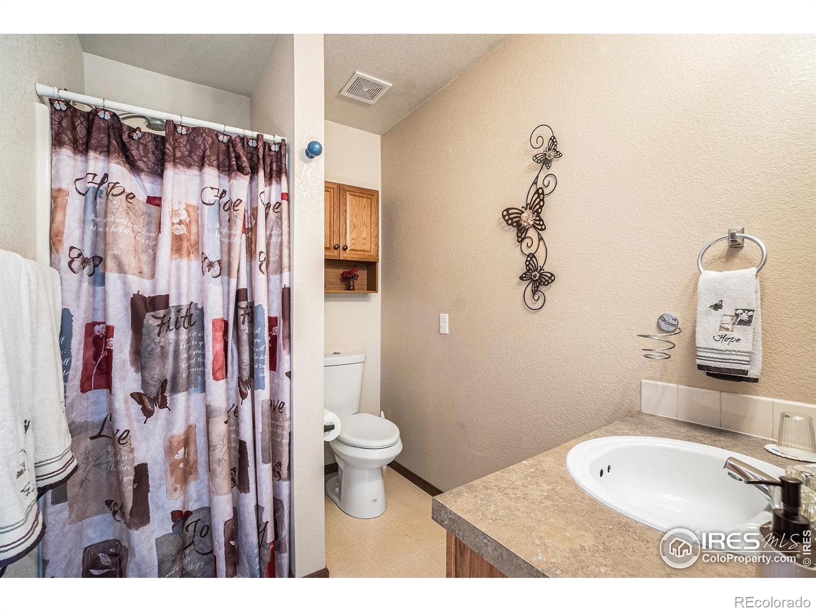 MLS Image #13 for 780 s tyler avenue,loveland, Colorado