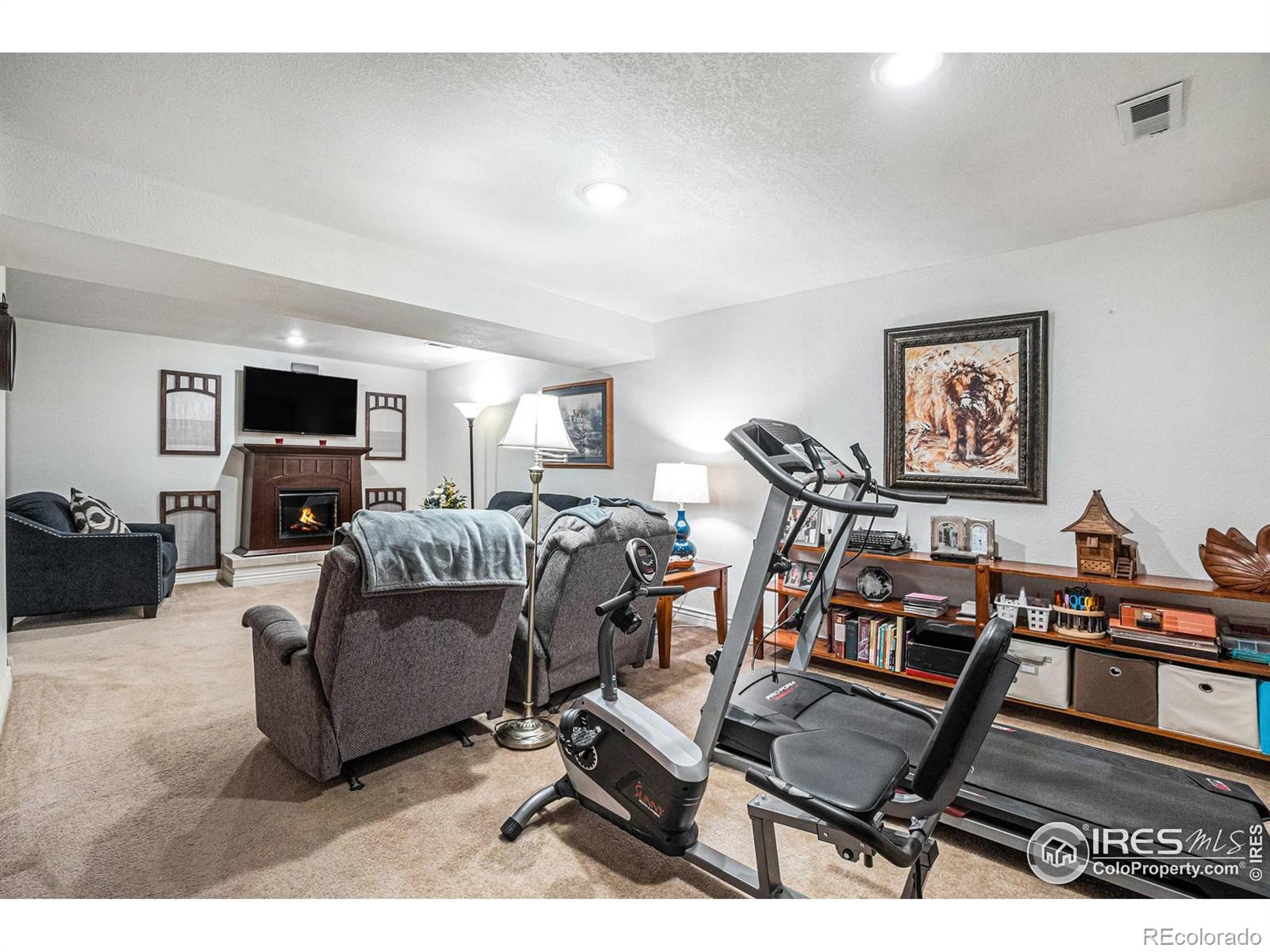 MLS Image #24 for 780 s tyler avenue,loveland, Colorado