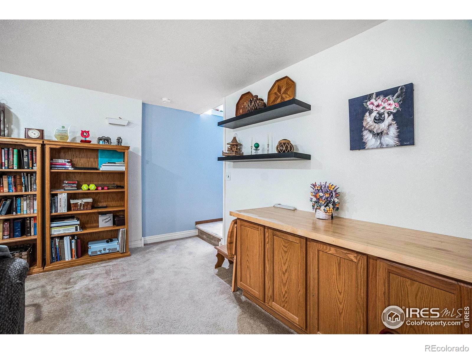 MLS Image #26 for 780 s tyler avenue,loveland, Colorado
