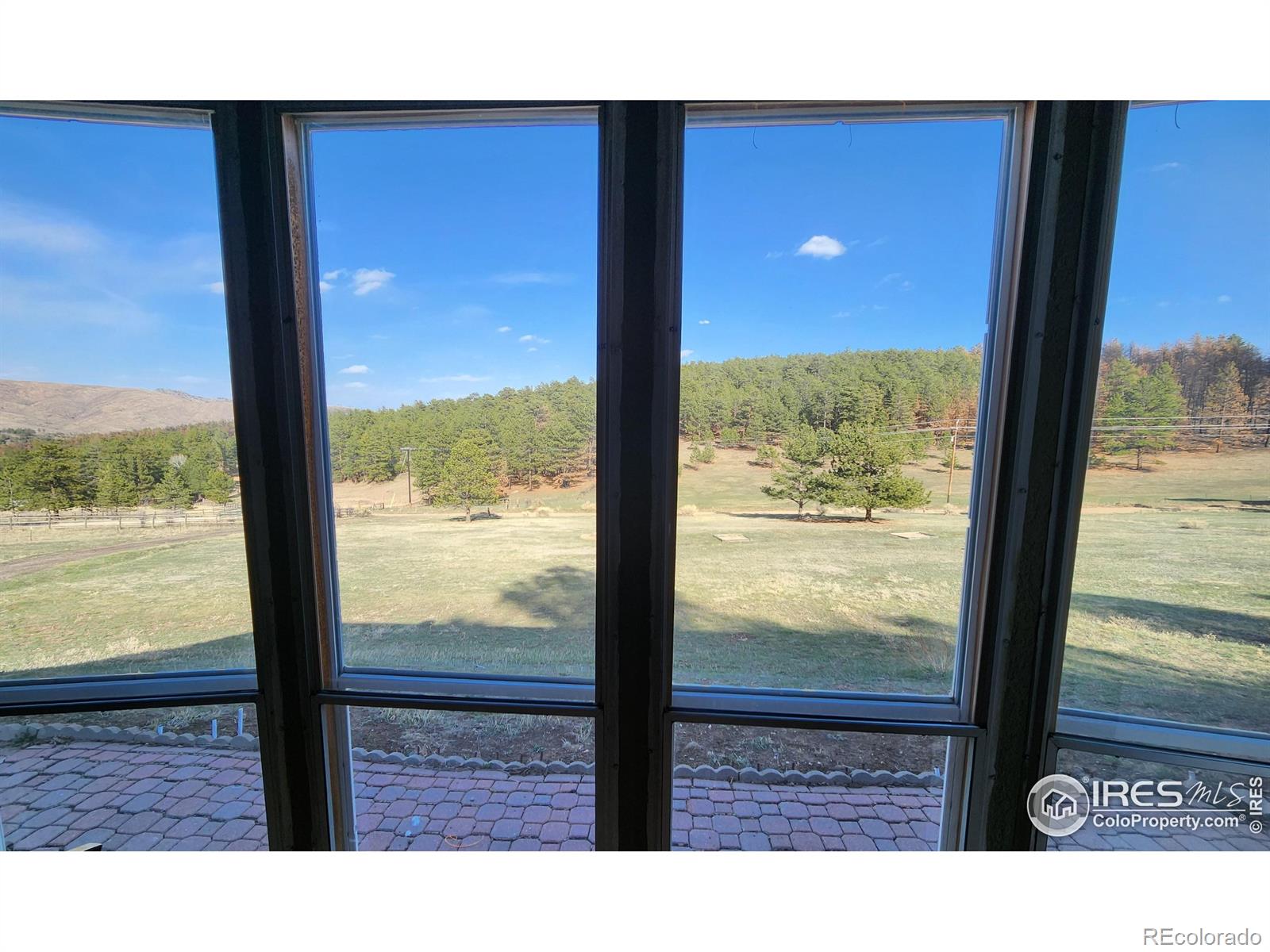 MLS Image #12 for 1153  spruce mountain drive,drake, Colorado
