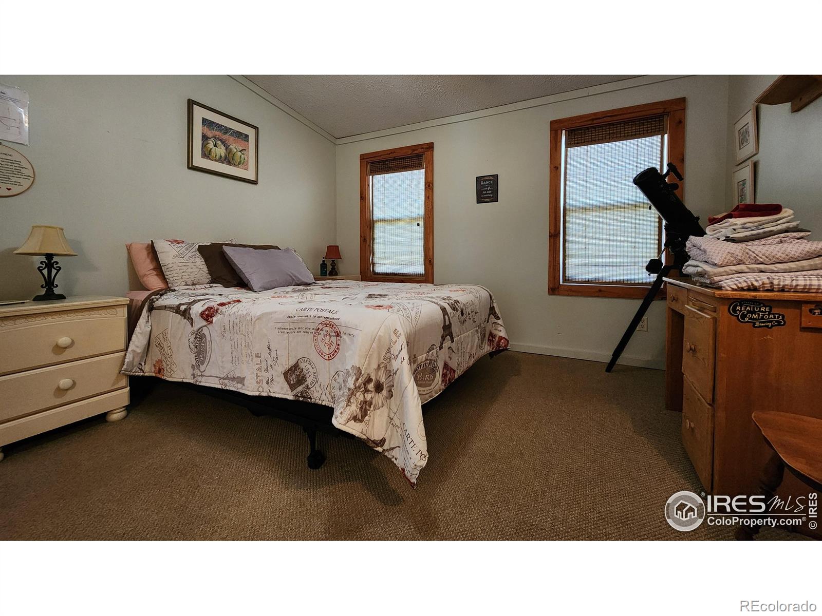 MLS Image #17 for 1153  spruce mountain drive,drake, Colorado