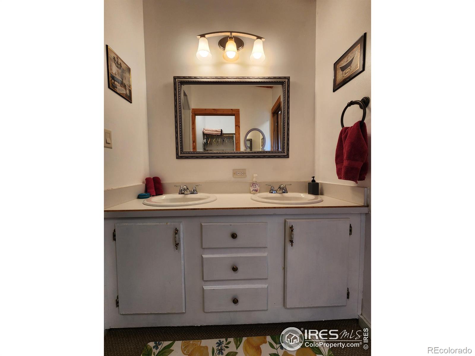MLS Image #19 for 1153  spruce mountain drive,drake, Colorado