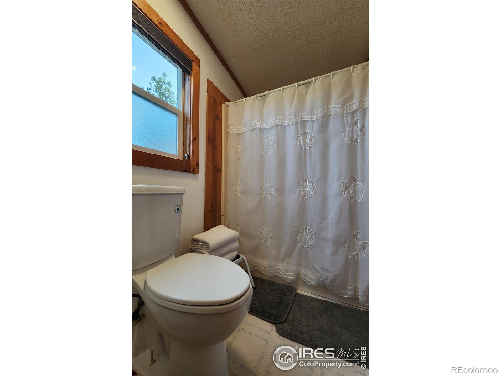 MLS Image #20 for 1153  spruce mountain drive,drake, Colorado