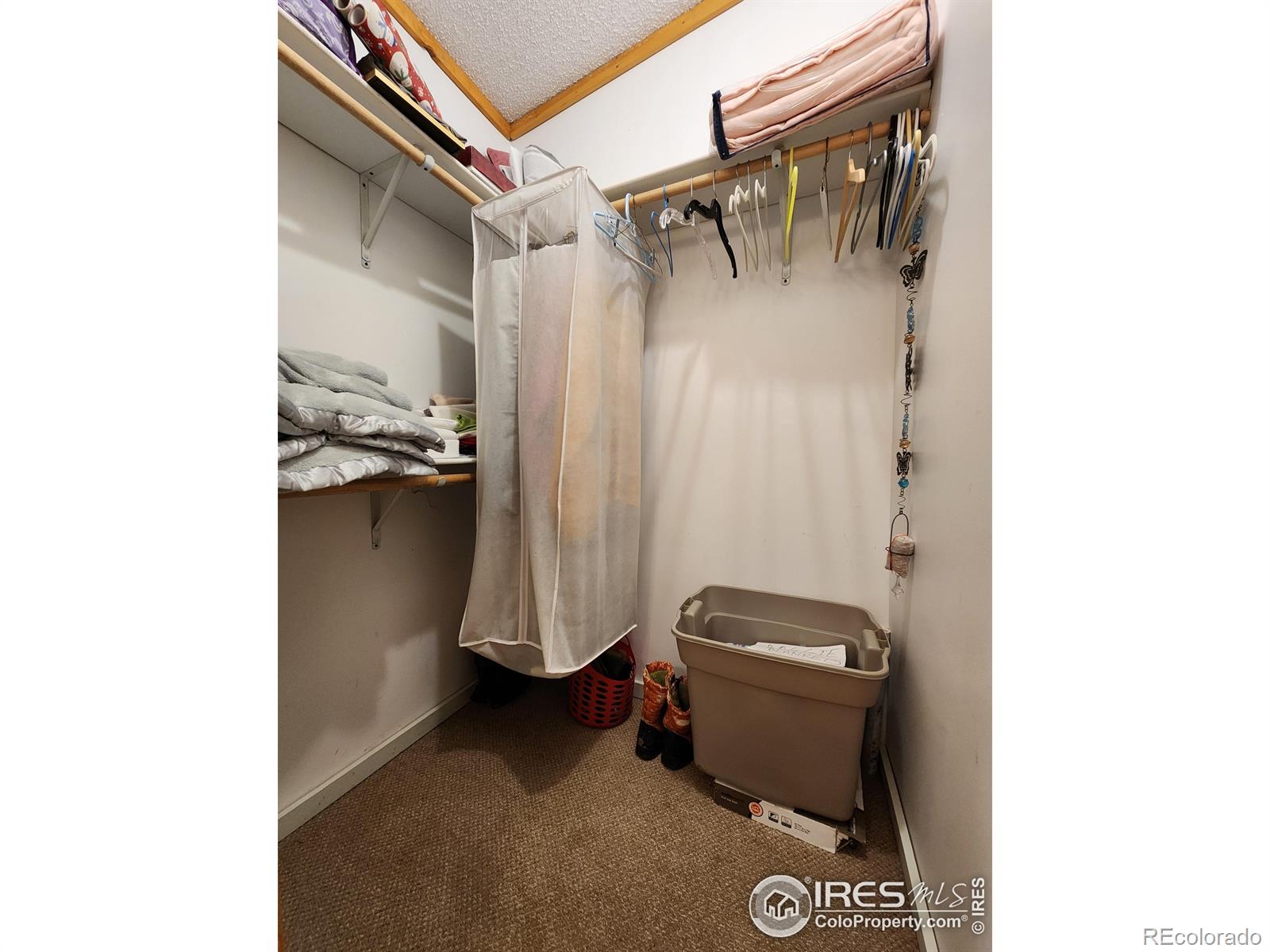 MLS Image #21 for 1153  spruce mountain drive,drake, Colorado