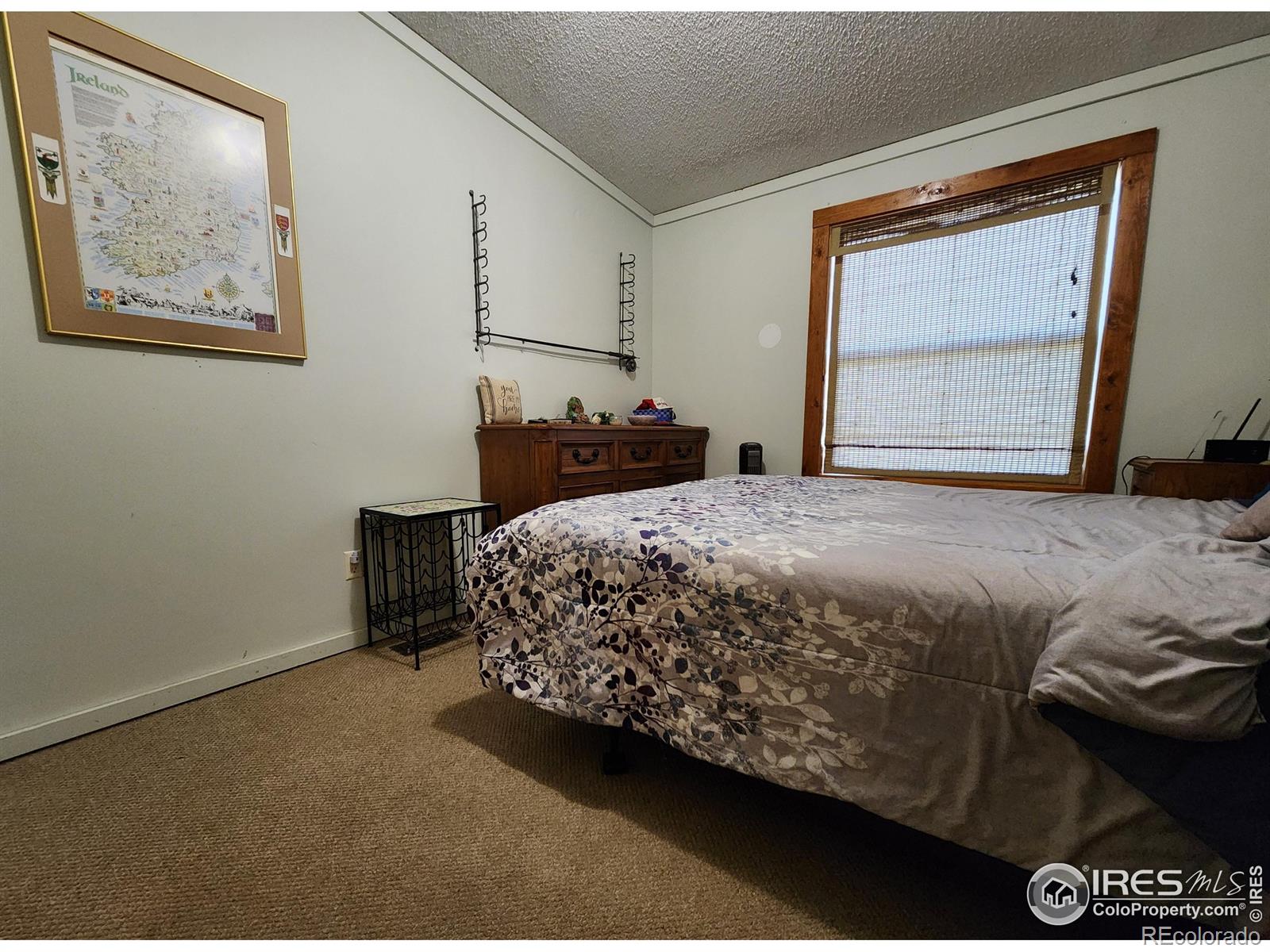 MLS Image #23 for 1153  spruce mountain drive,drake, Colorado