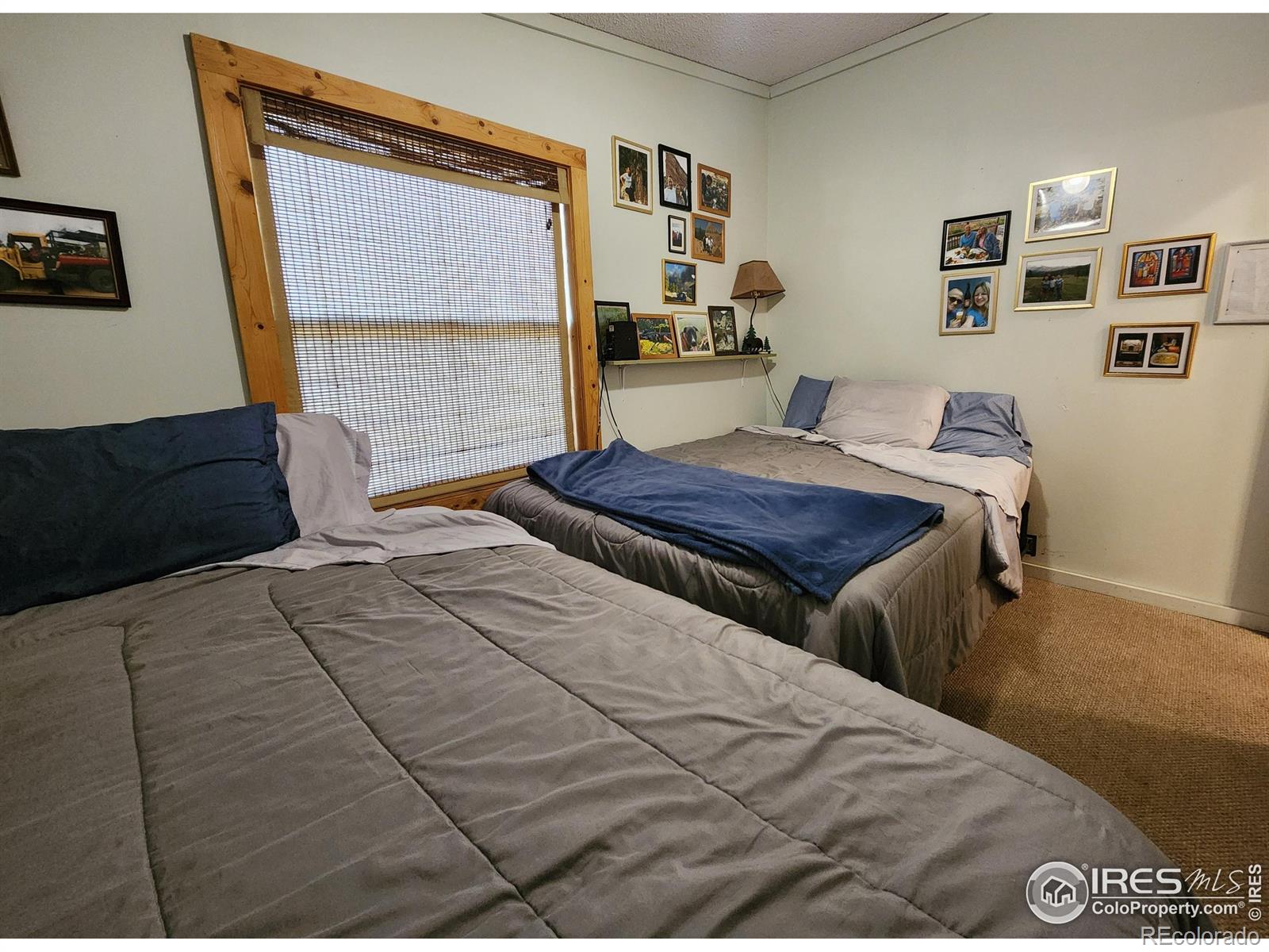 MLS Image #25 for 1153  spruce mountain drive,drake, Colorado