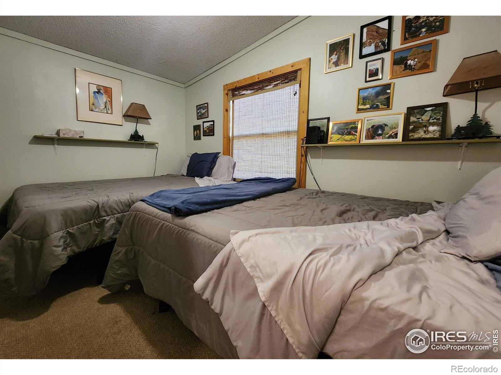 MLS Image #26 for 1153  spruce mountain drive,drake, Colorado