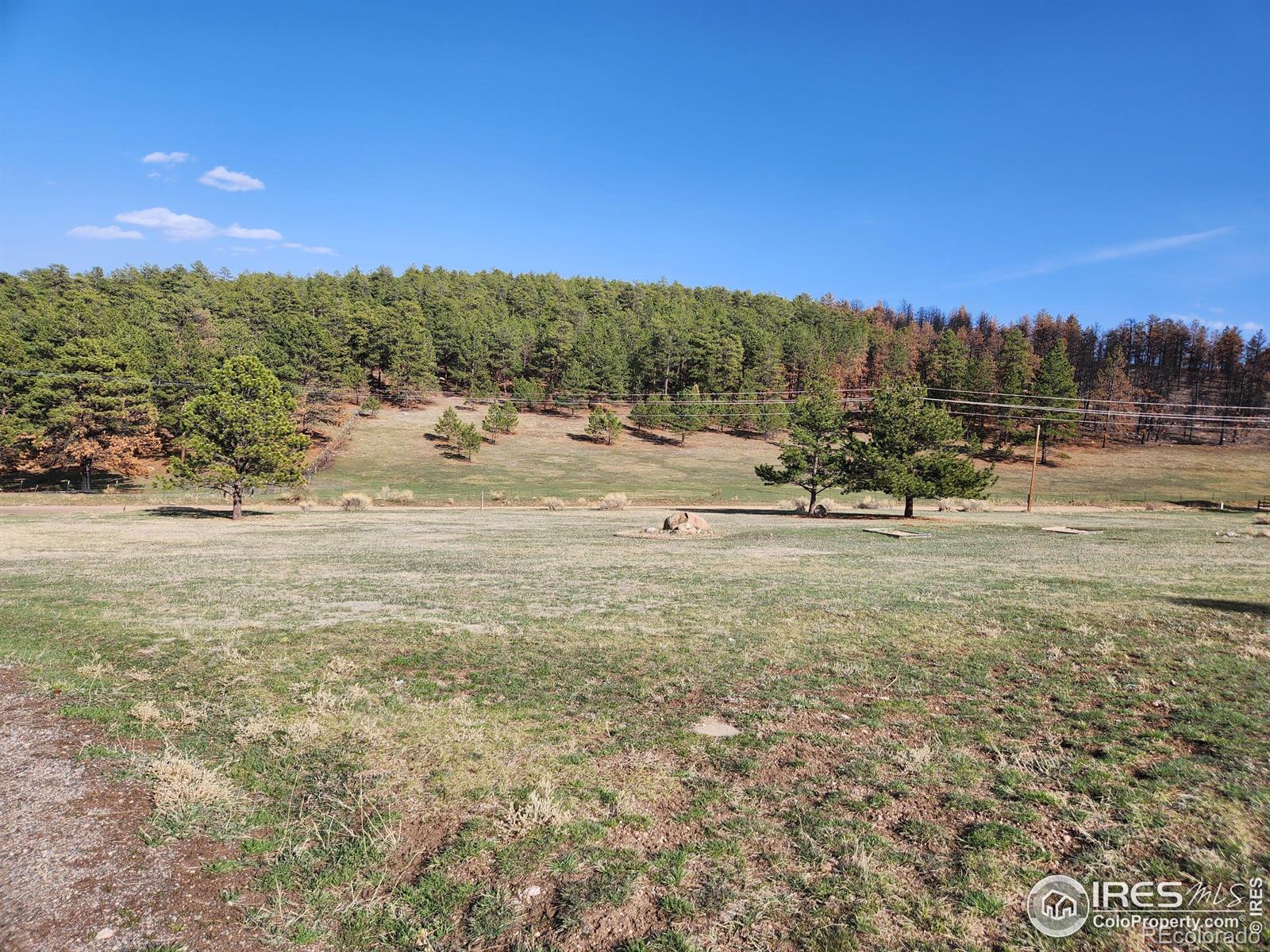 MLS Image #4 for 1153  spruce mountain drive,drake, Colorado