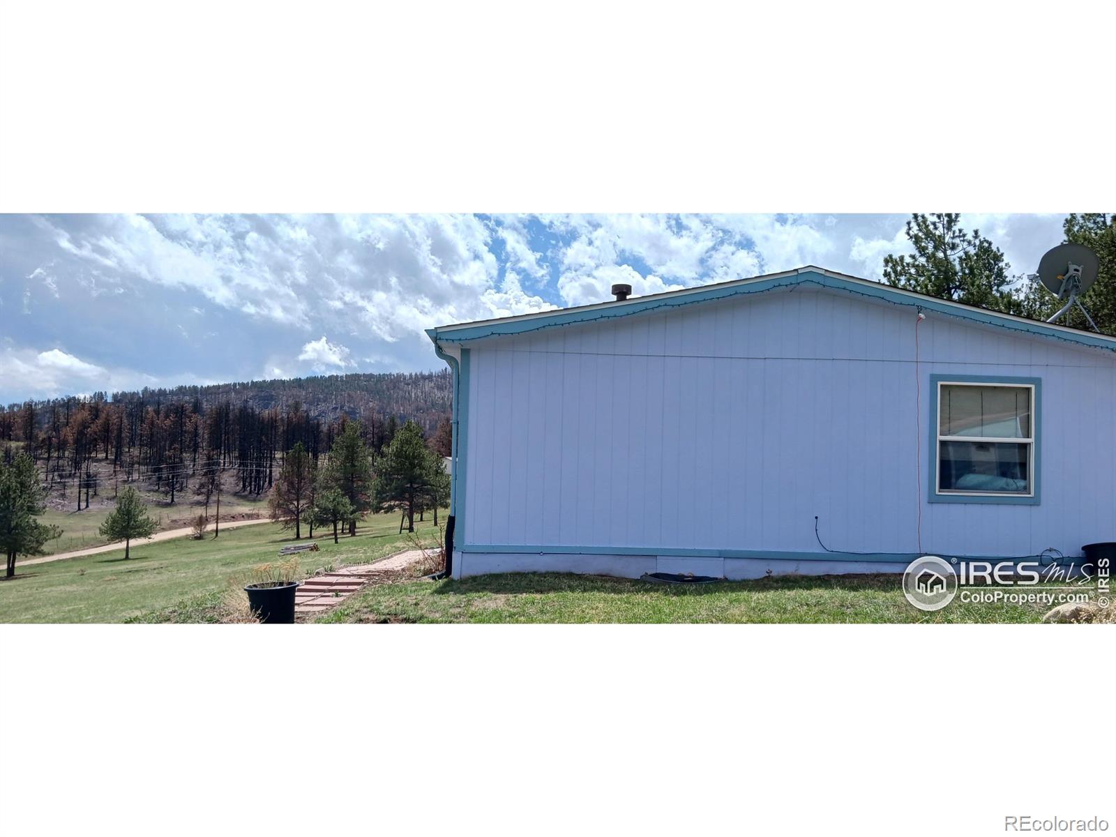 MLS Image #5 for 1153  spruce mountain drive,drake, Colorado