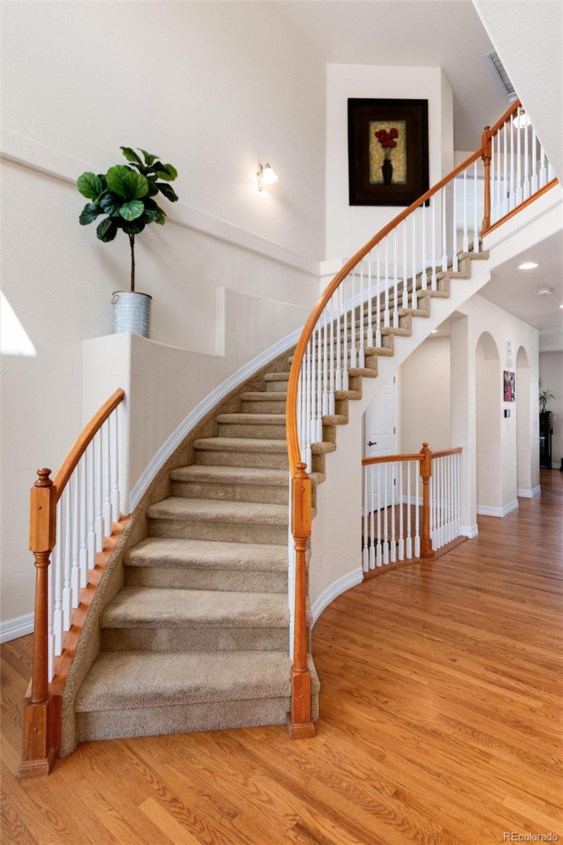 MLS Image #10 for 7019 s garrison street,littleton, Colorado