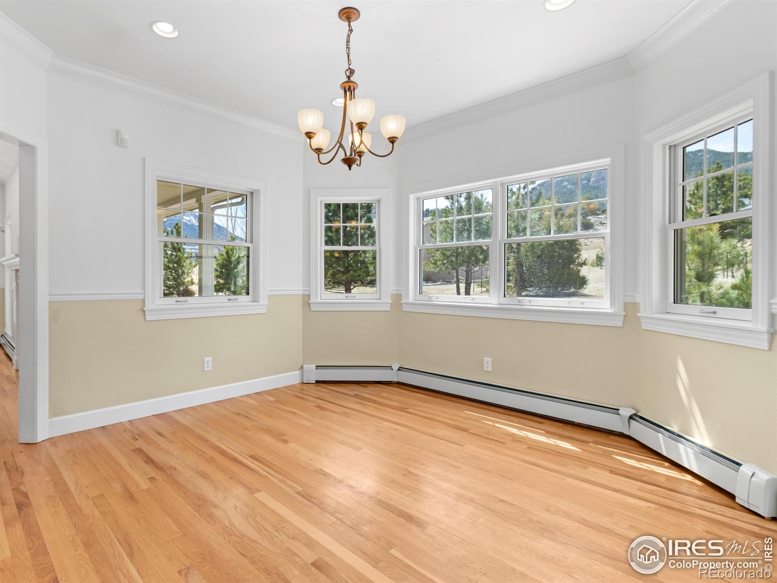 MLS Image #7 for 2261  arapaho road,estes park, Colorado