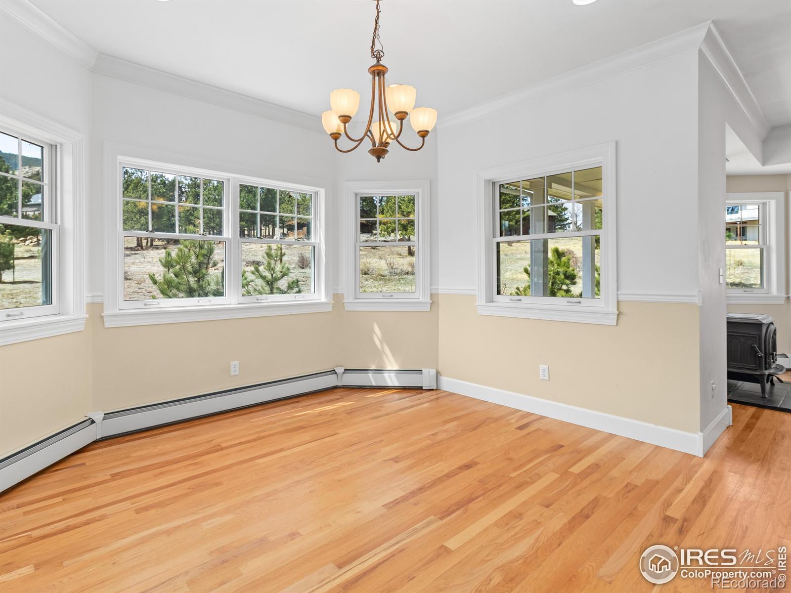 MLS Image #9 for 2261  arapaho road,estes park, Colorado
