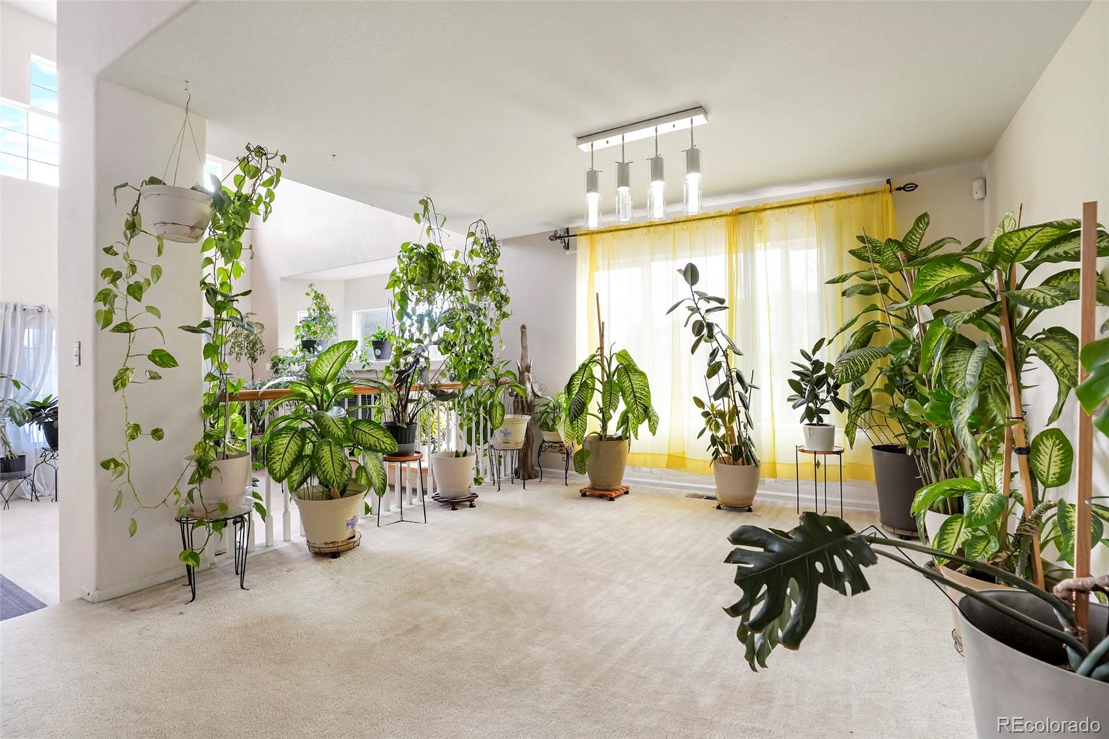 MLS Image #5 for 20292 e 47th avenue,denver, Colorado