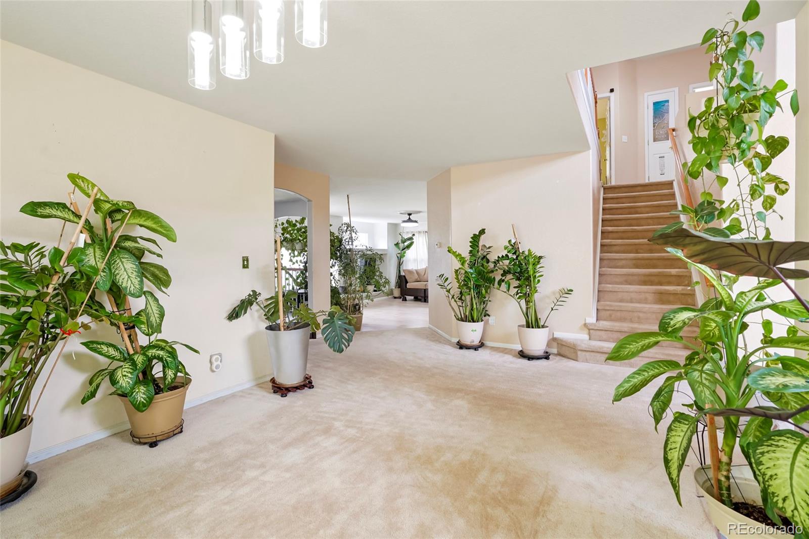 MLS Image #6 for 20292 e 47th avenue,denver, Colorado