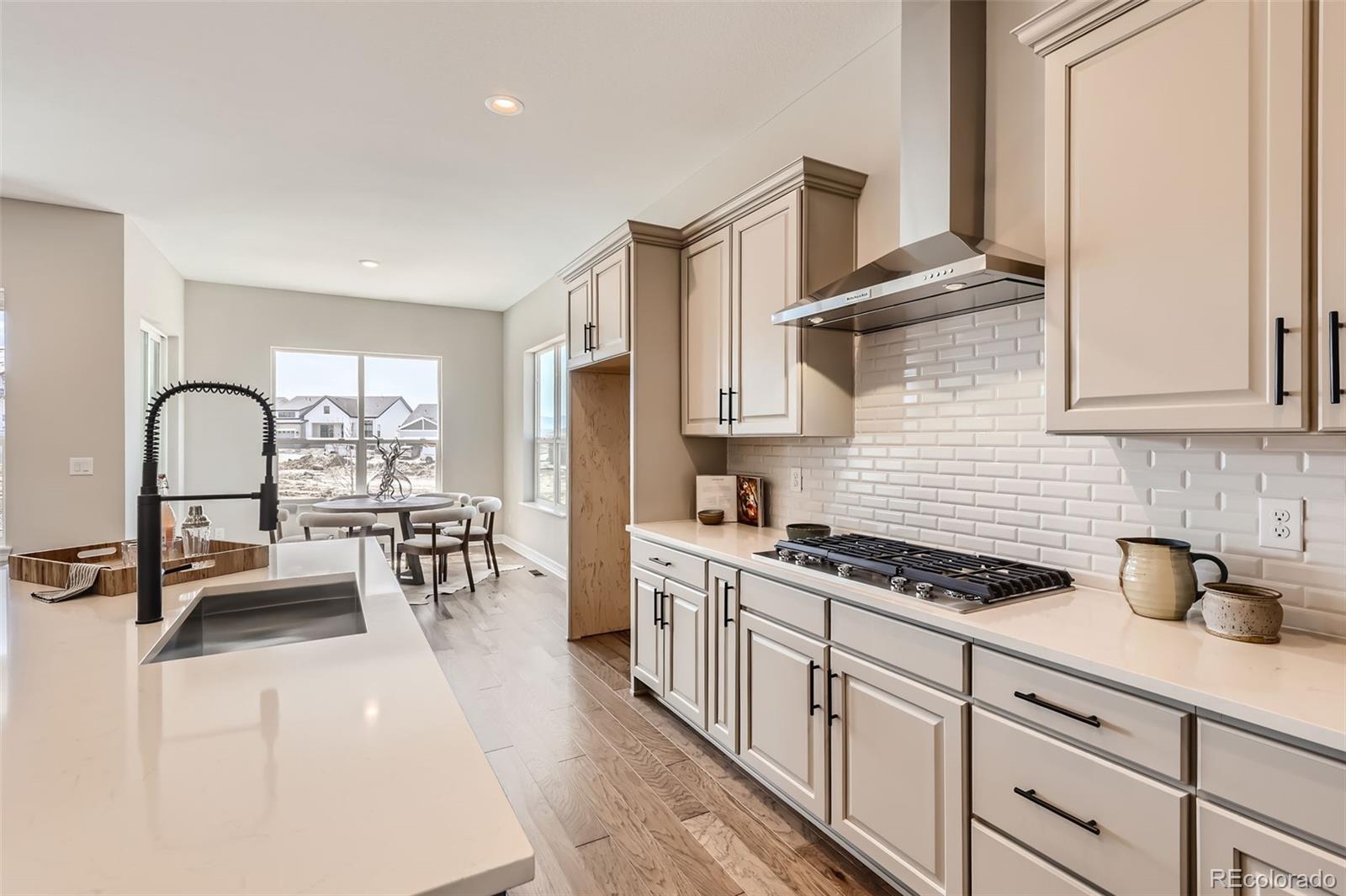 MLS Image #10 for 423  basin daisy street,castle rock, Colorado