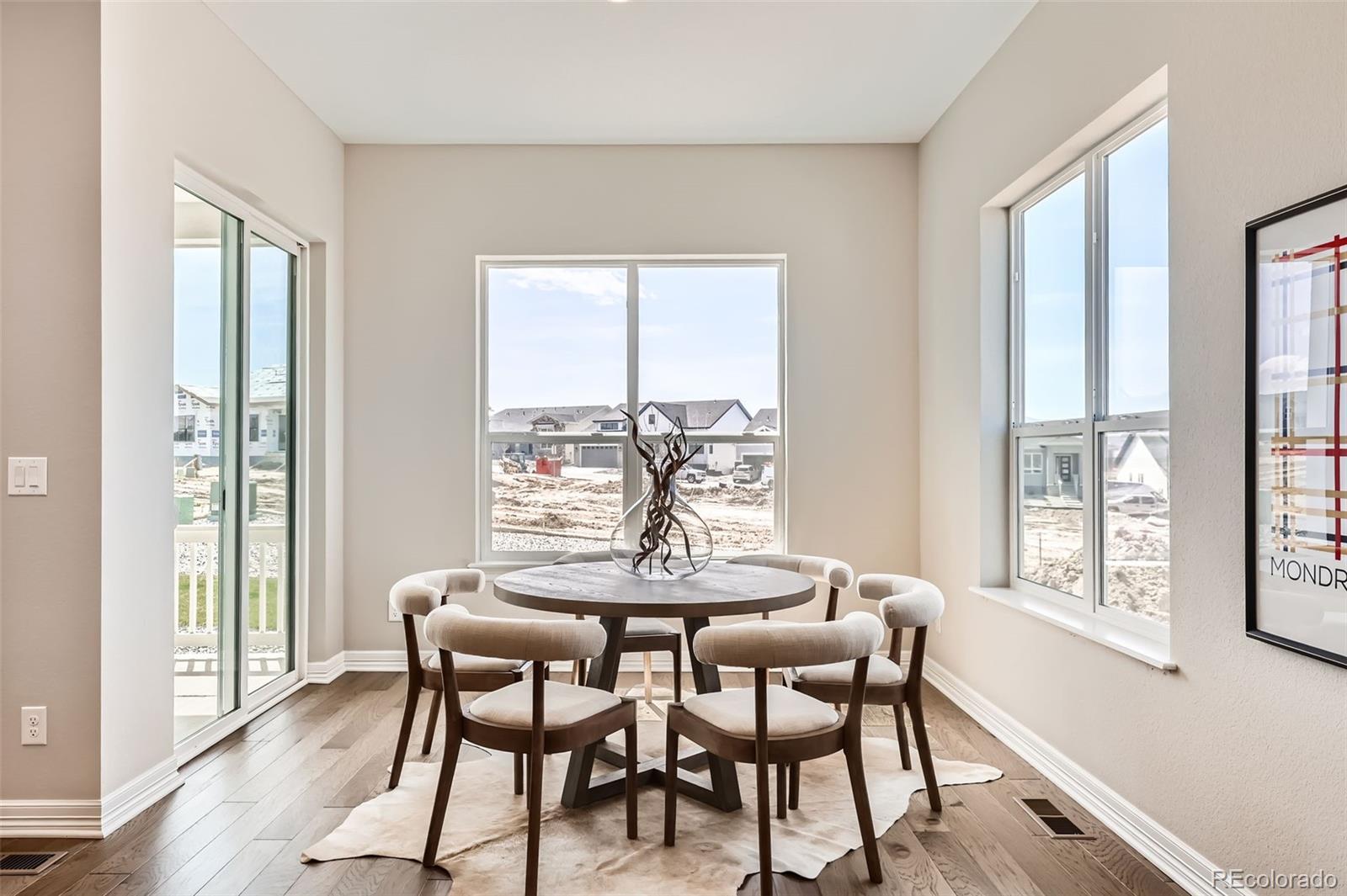 MLS Image #11 for 423  basin daisy street,castle rock, Colorado