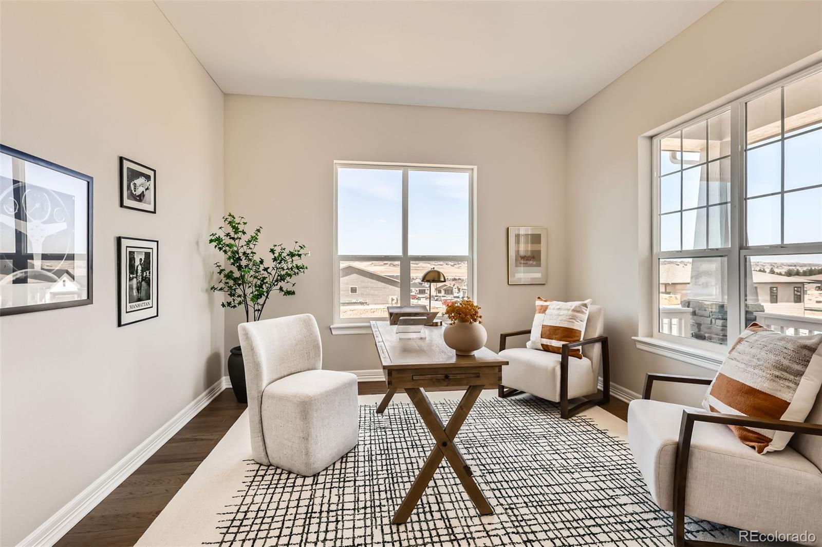 MLS Image #12 for 423  basin daisy street,castle rock, Colorado