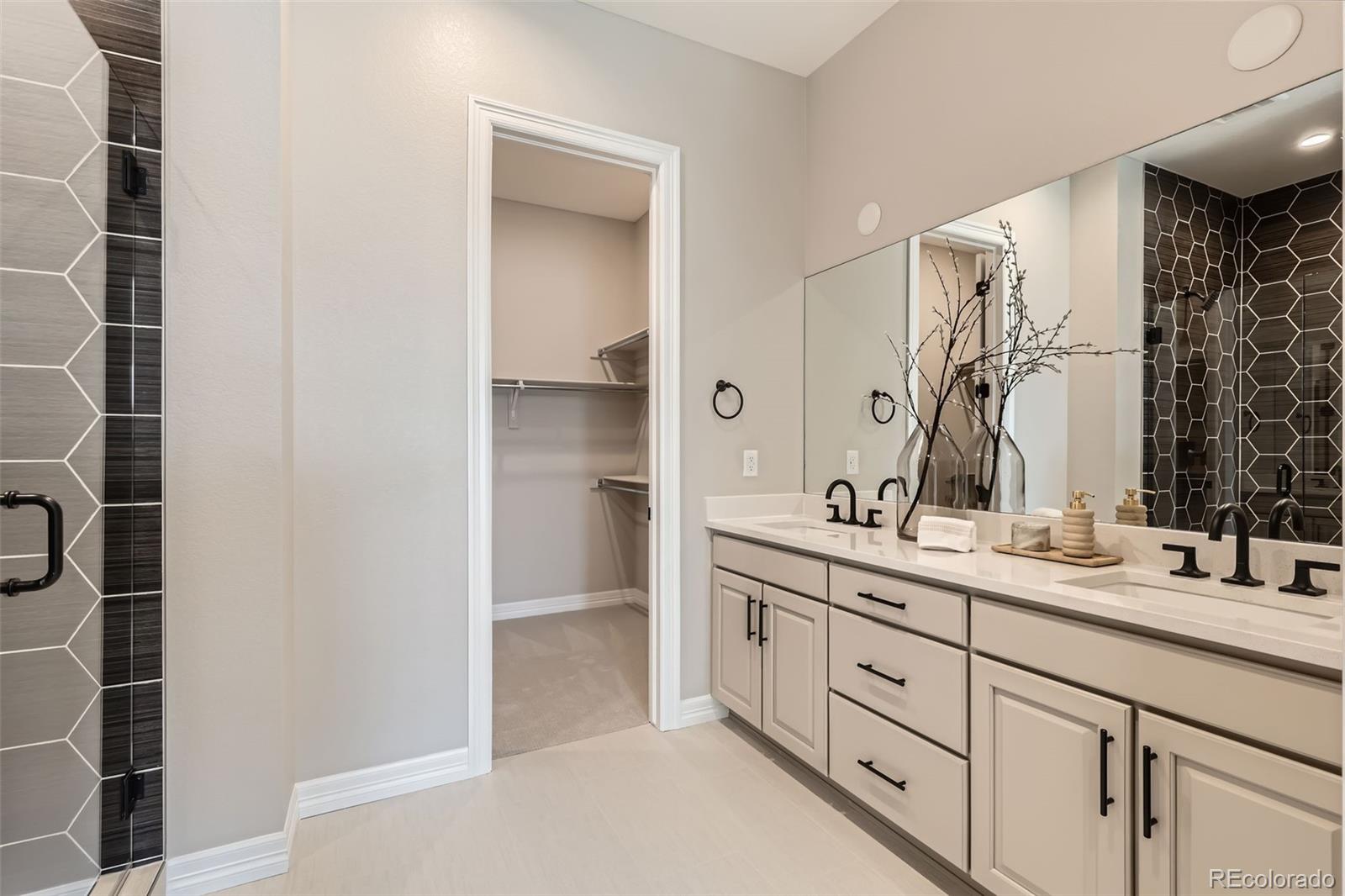 MLS Image #17 for 423  basin daisy street,castle rock, Colorado