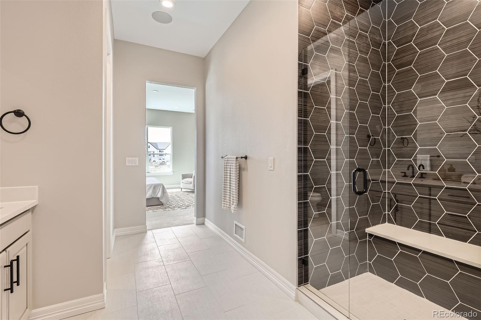 MLS Image #18 for 423  basin daisy street,castle rock, Colorado