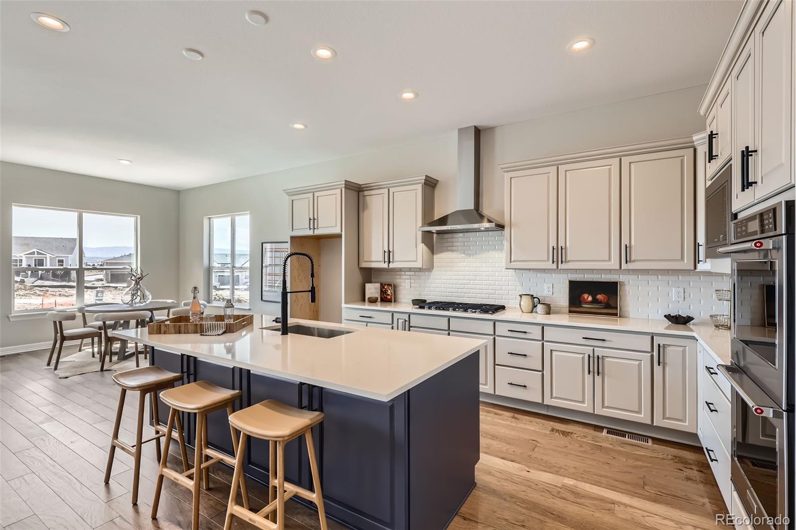 MLS Image #7 for 423  basin daisy street,castle rock, Colorado