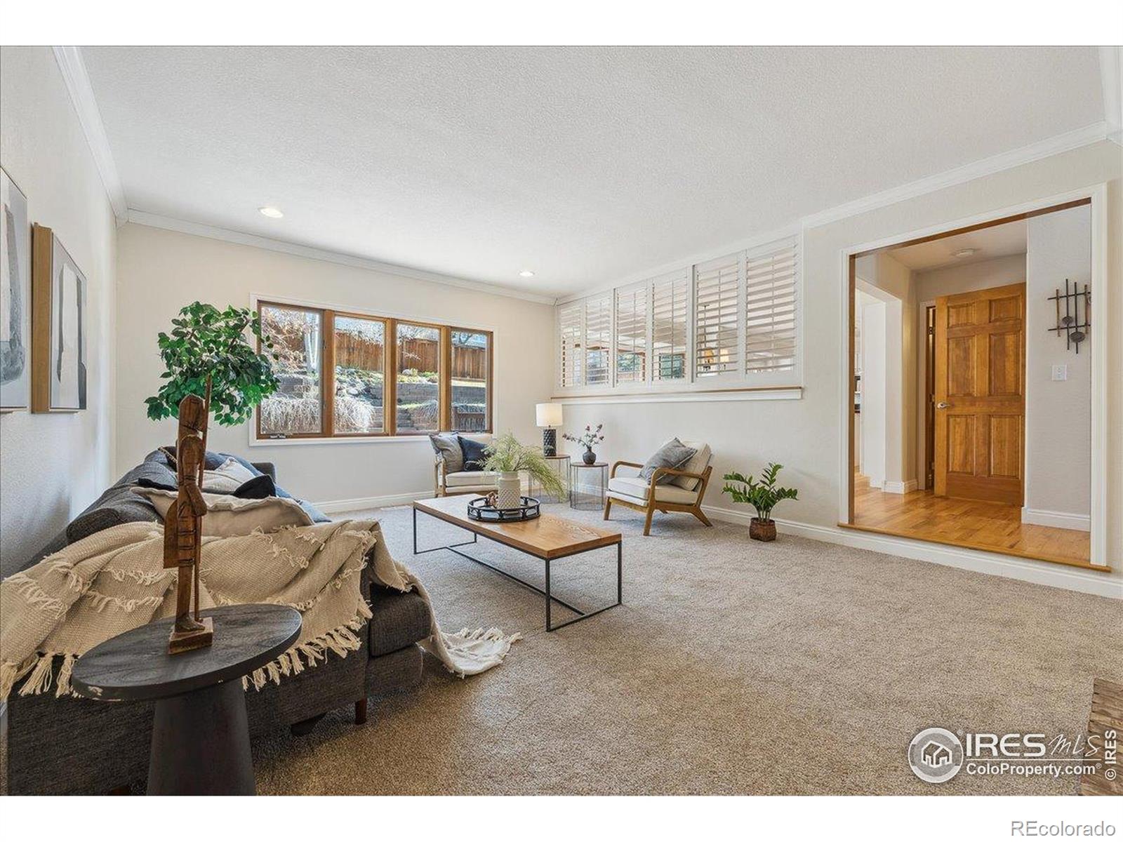 MLS Image #14 for 1030  ogden court,fort collins, Colorado